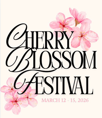 + Cherry Blossom Festival 