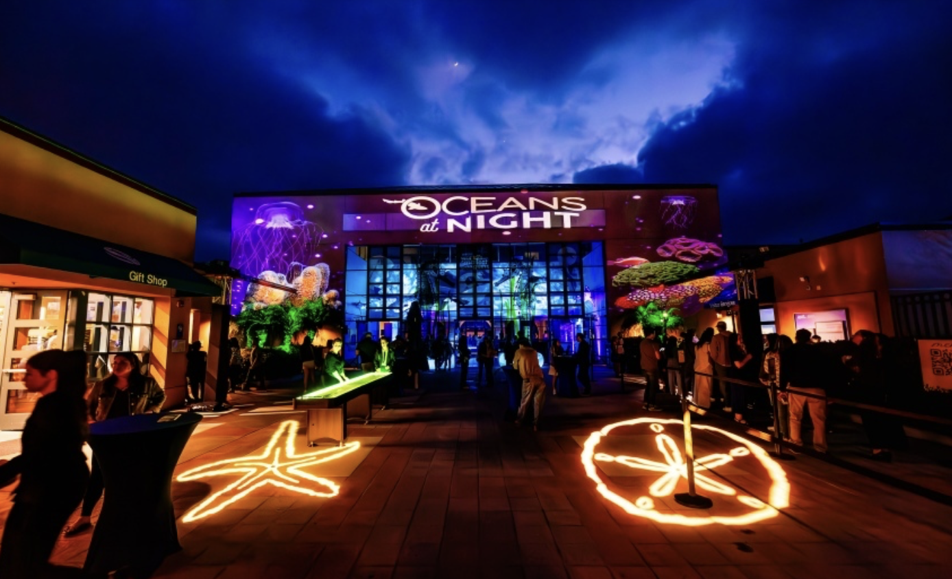 + Oceans at Night: Aquanauts 