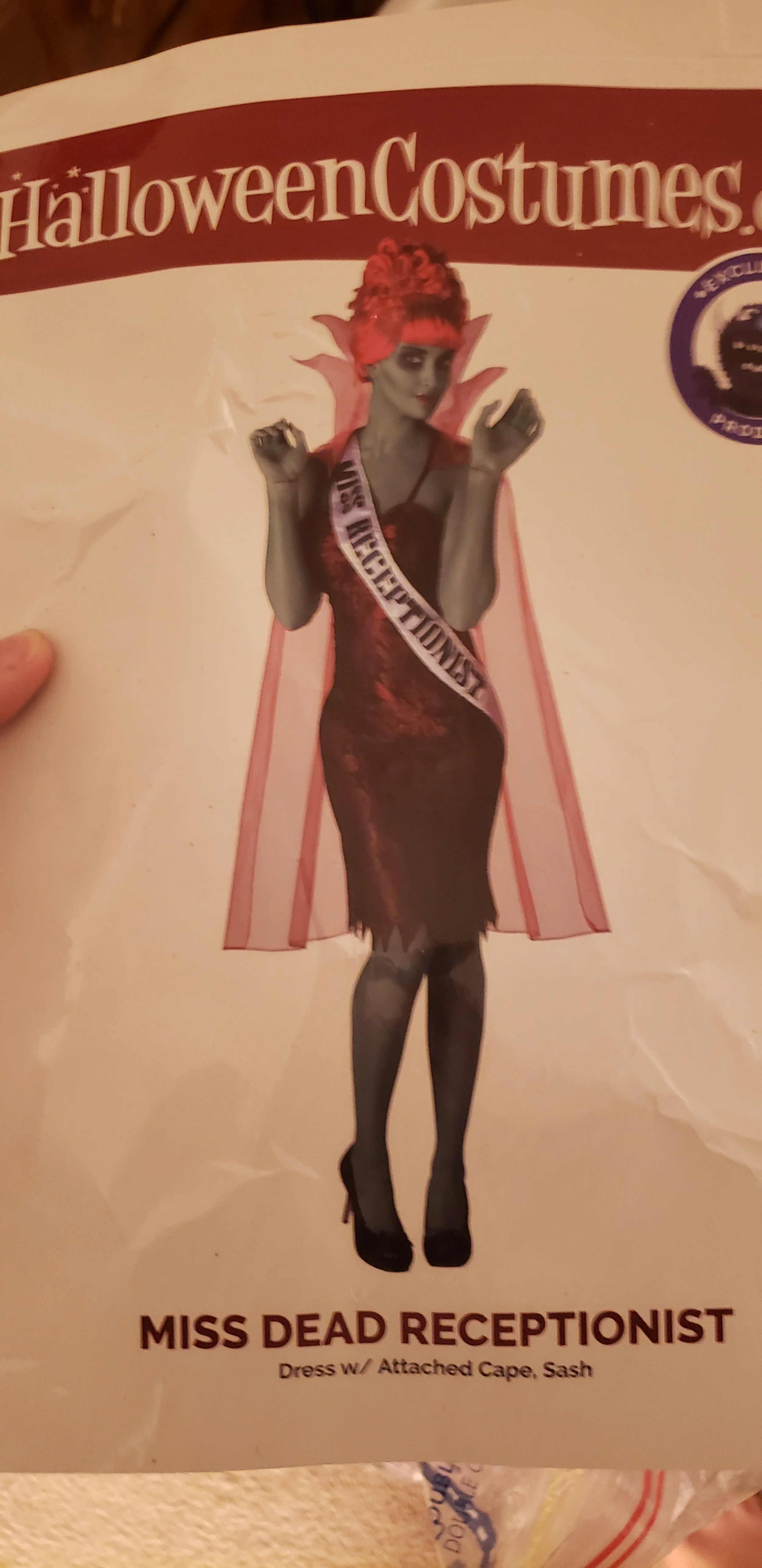 Beetlejuice Receptionist Costume