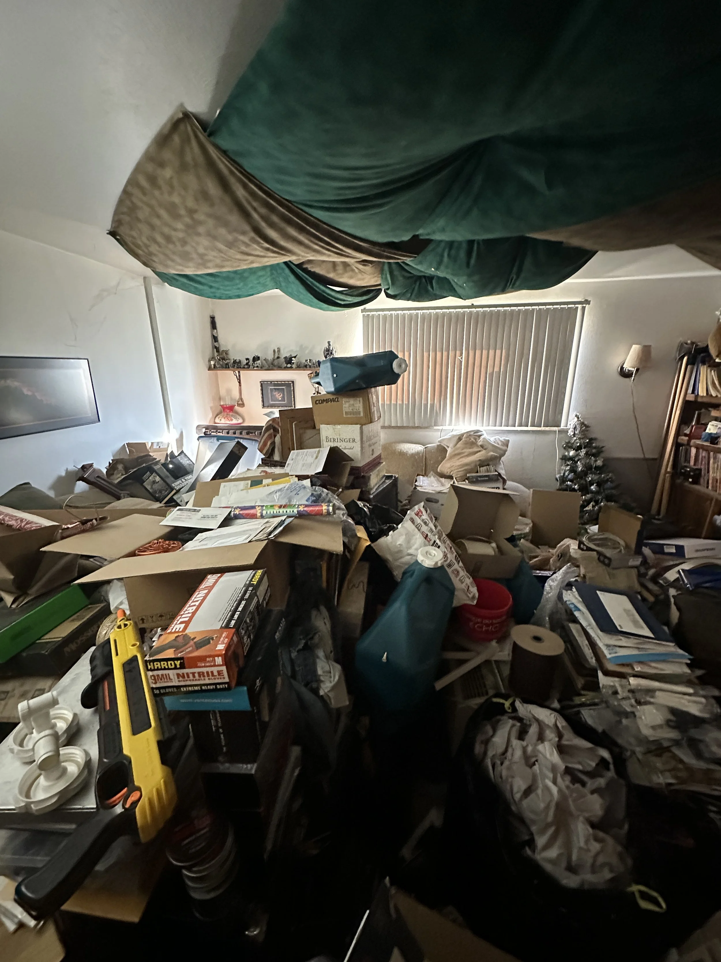 Before image of a living room prior to professional home organizing. Room is impassable due to a three foot high pile of belongings and trash.