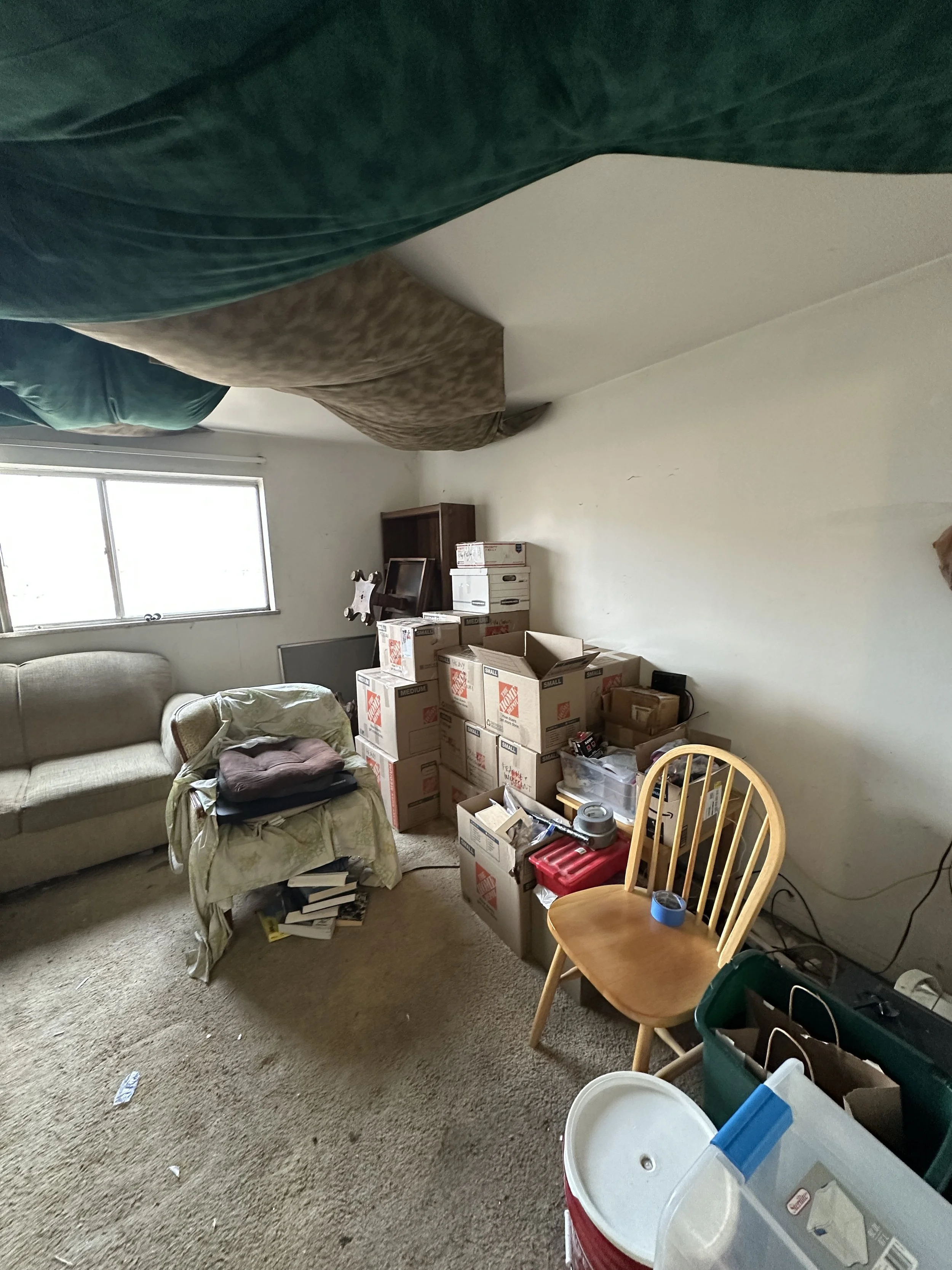 After of a professionally organized and packed living room after a declutter and pack session with Strategic Spaces. Excess possessions have been donated or discarded.