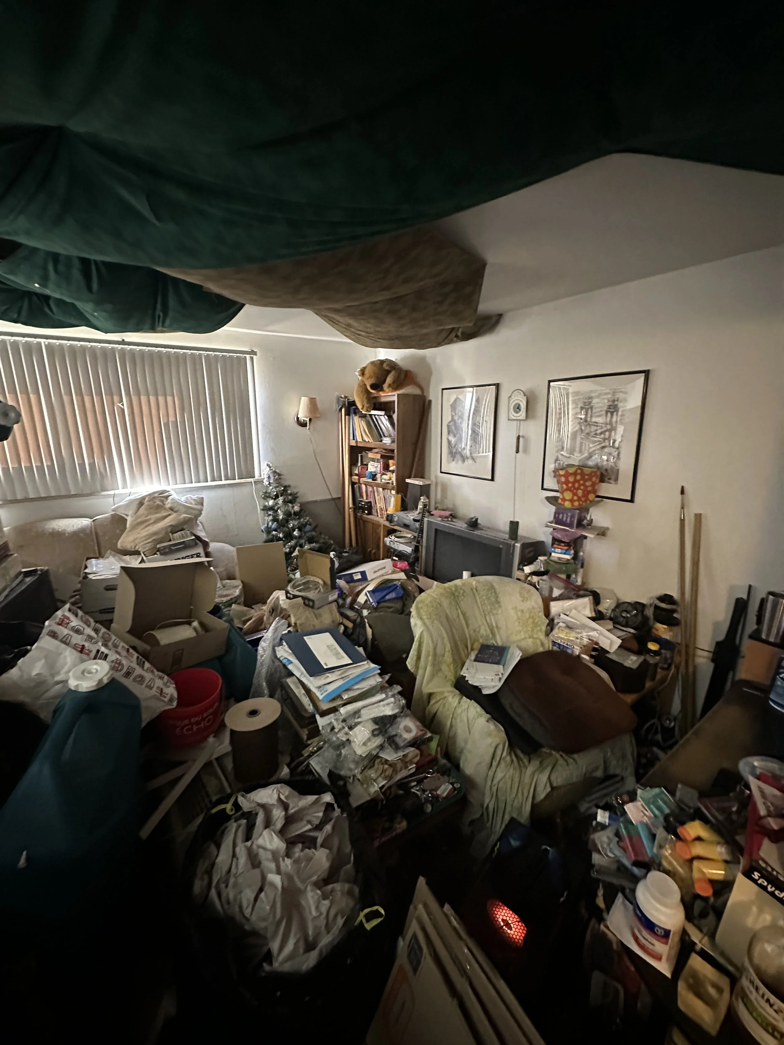 Before image of a living room that is mildly hoarded, with no clear paths through belongings before a decluttering and packing session.