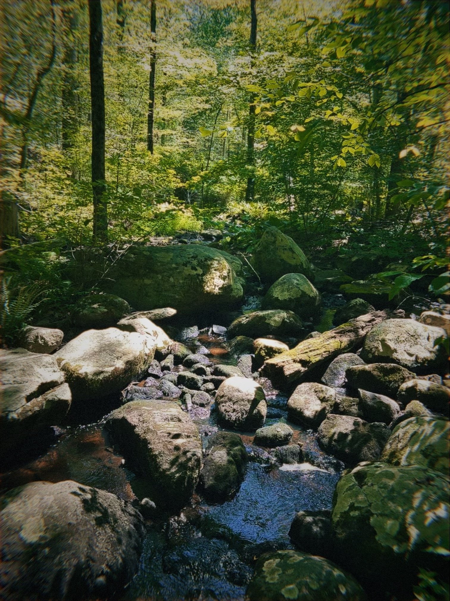 Why I’ve Decided to Get My Grief Coach Certificate