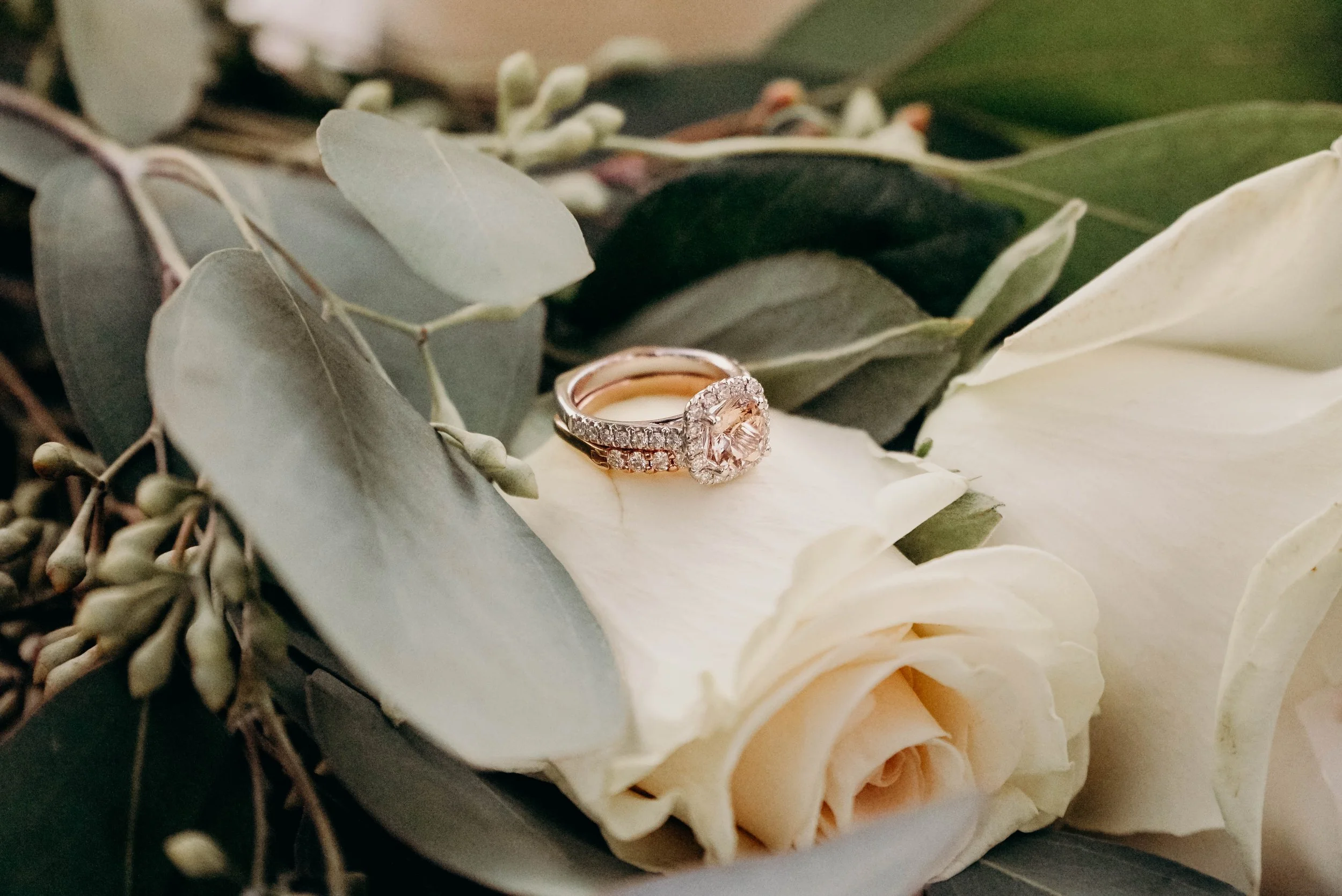 A close-up of a diamond engagement ring resting on a white rose surrounded by green eucalyptus leaves and small buds.