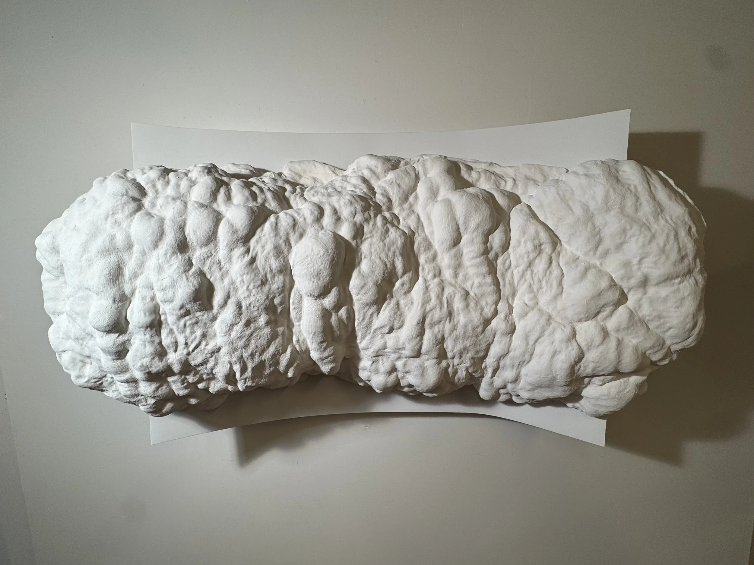 Morphological Adaptation