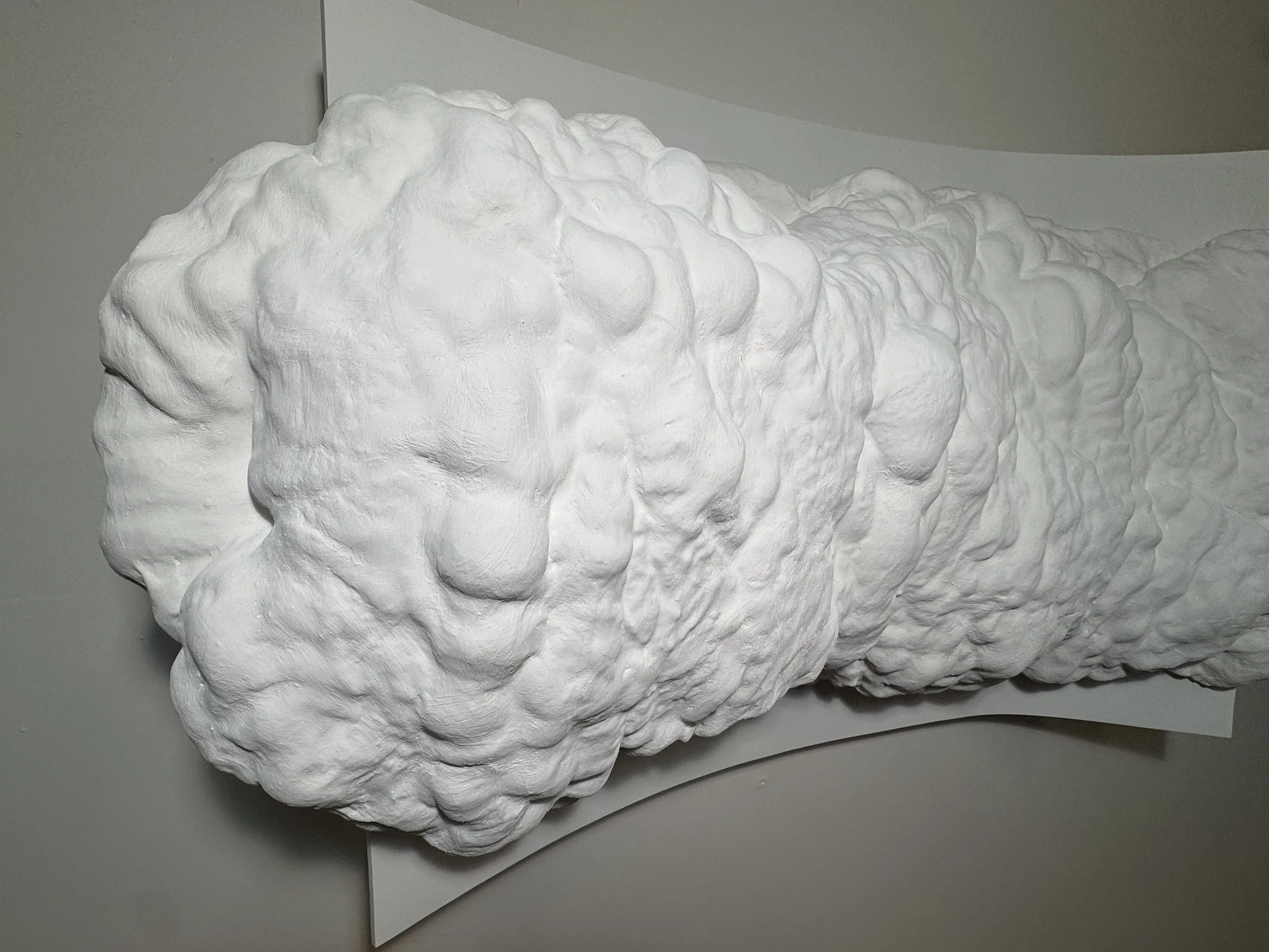 Morphological Adaptation