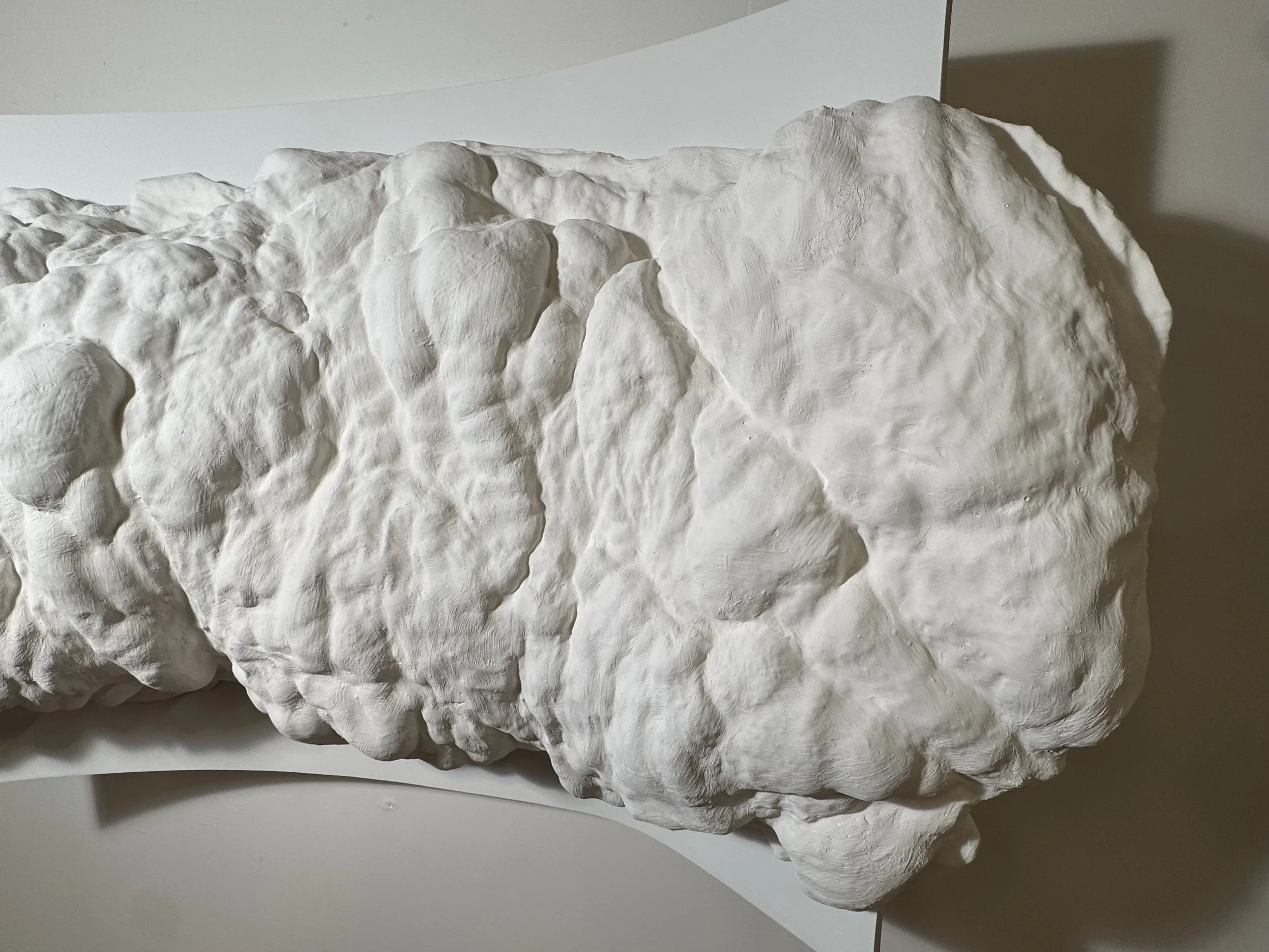 Morphological Adaptation