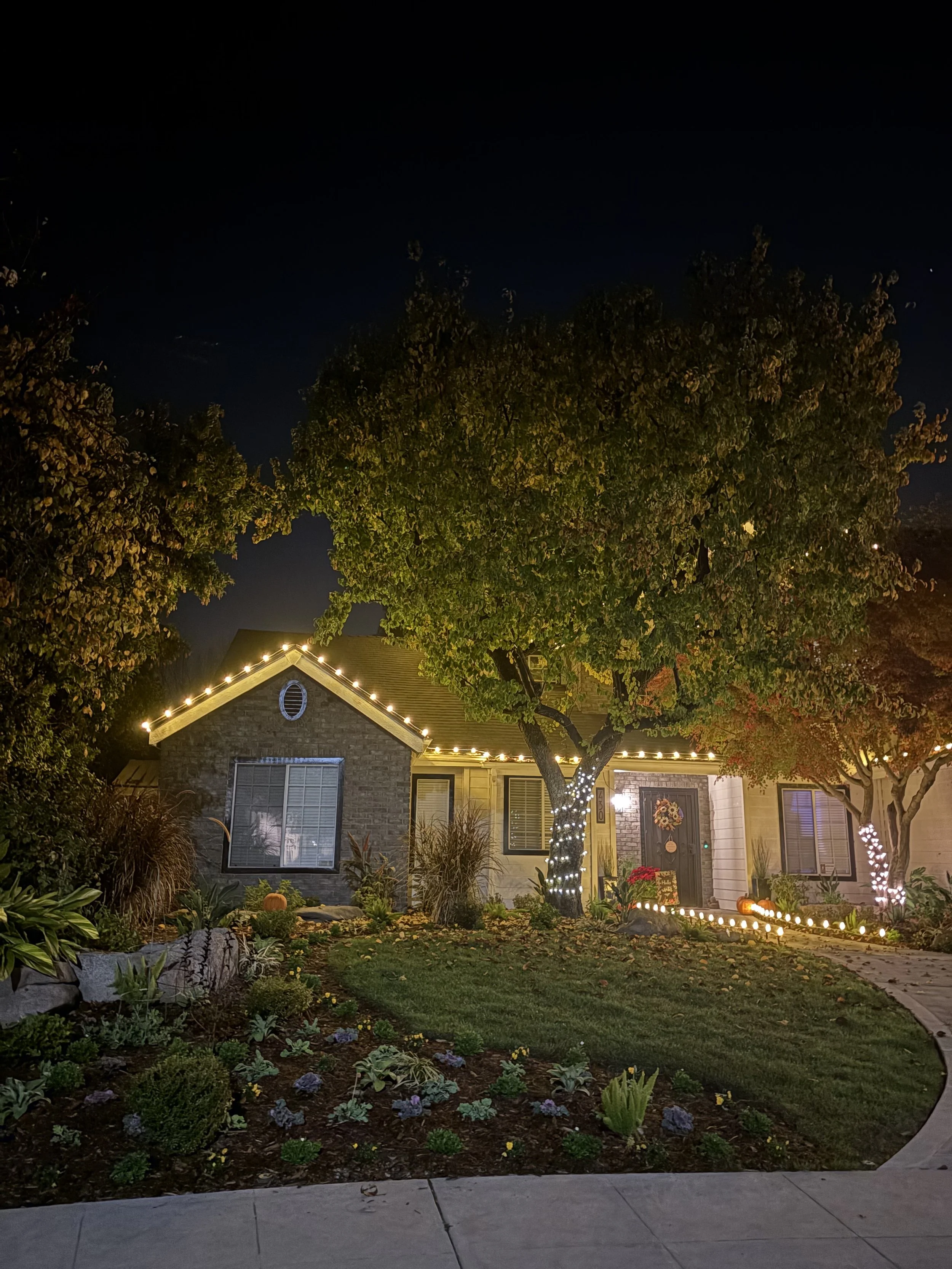 Professional Christmas light display in Fresno. Tree light wrap and walk way stake lights