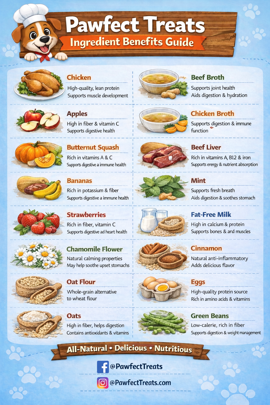 A guide to pawfect treats for dogs, listing ingredients and their health benefits, including chicken, apples, butternut squash, bananas, strawberries, chamomile flower, oat flour, oats, beef broth, chicken broth, beef liver, mint, fat-free milk, cinnamon, eggs, and green beans, with illustrations of each ingredient.