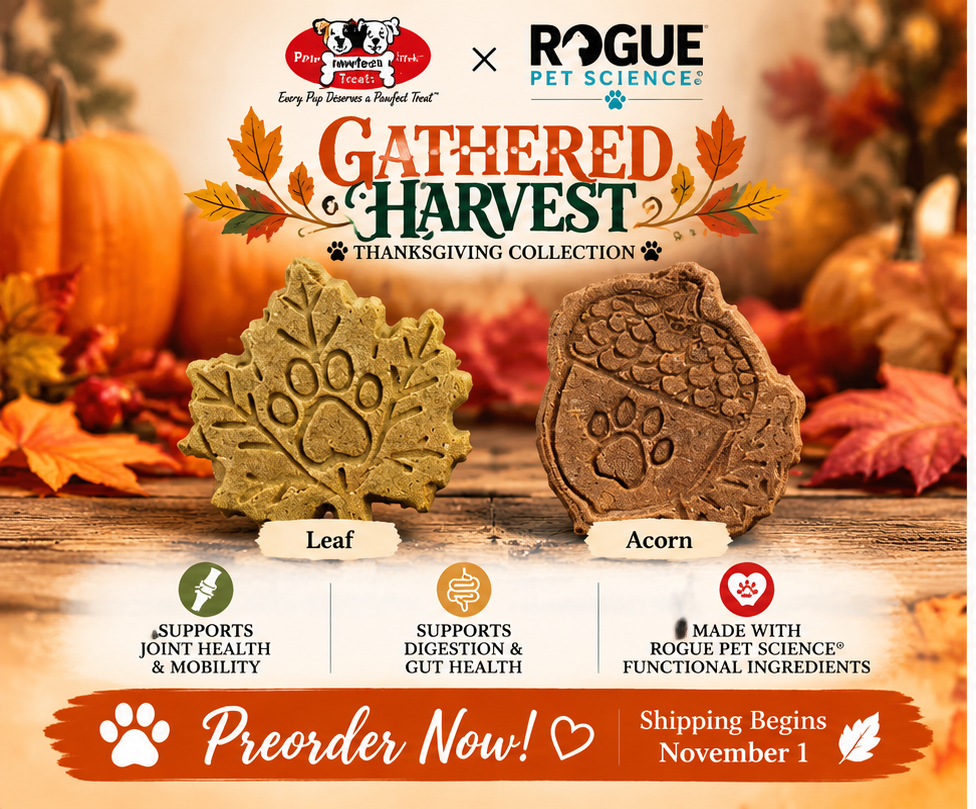 Gathered Harvest™ — Thanksgiving Collection