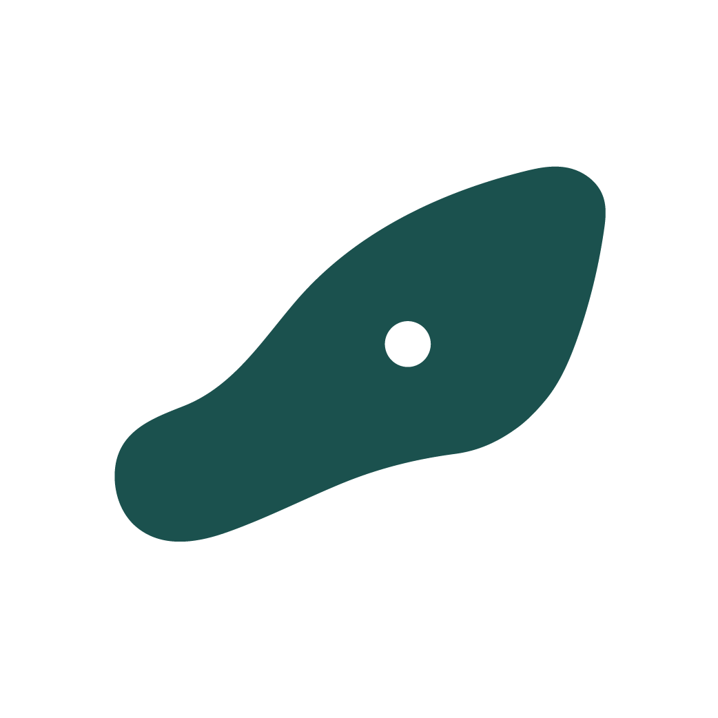 Rock climbing wall hold icon