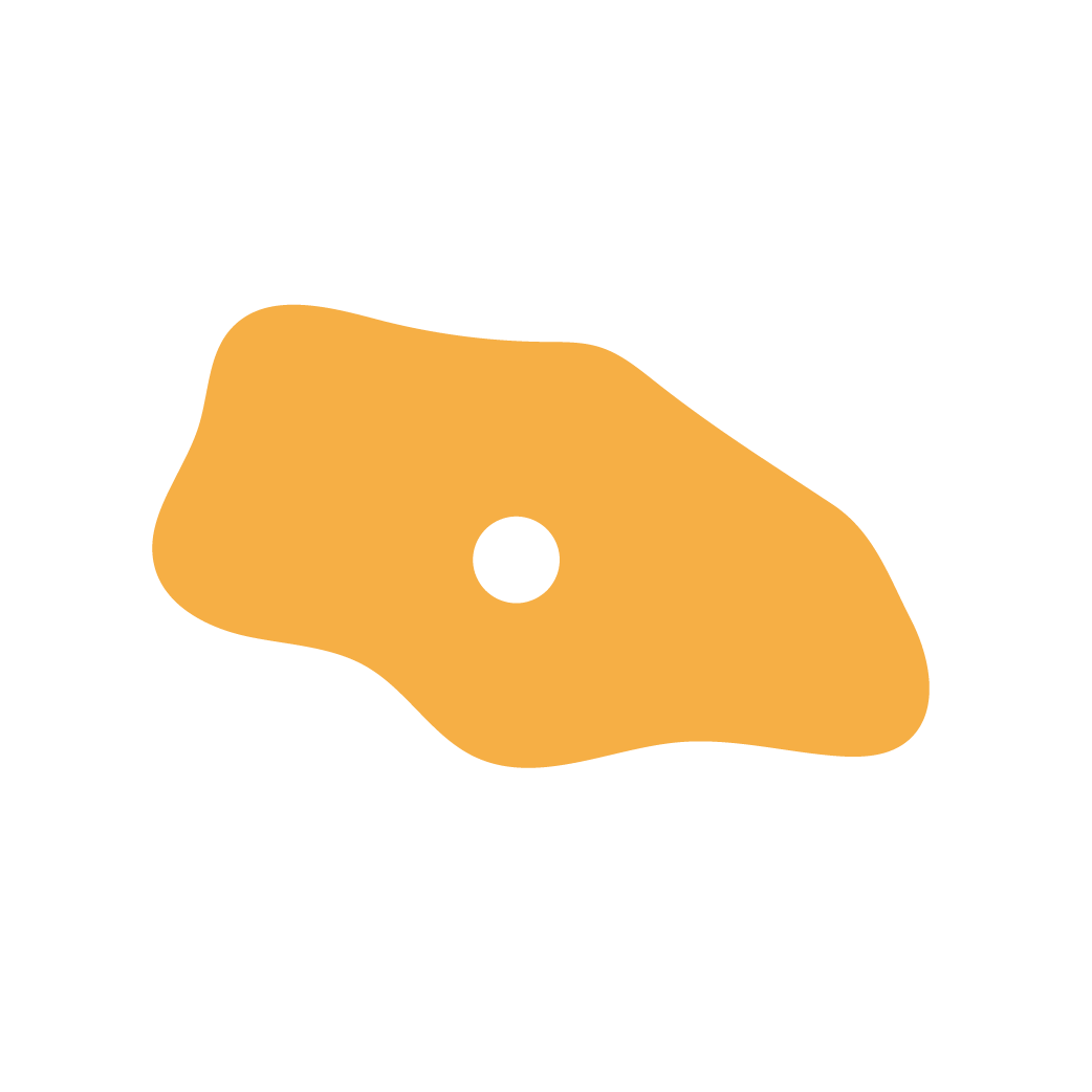 Rock climbing wall hold icon