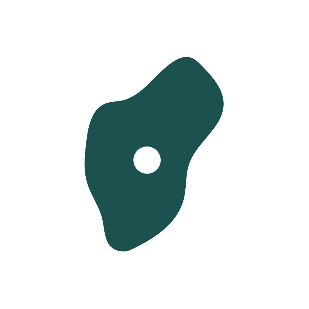 Rock climbing wall hold icon