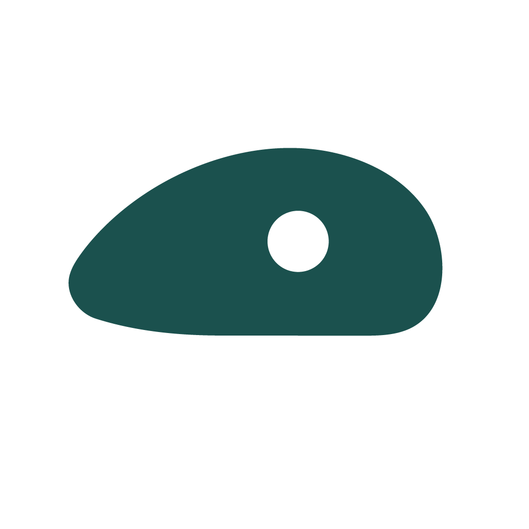 Rock climbing wall hold icon