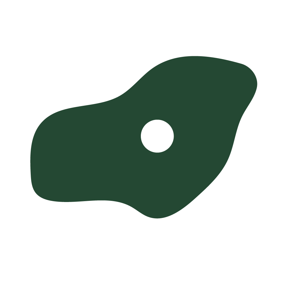 Rock climbing wall hold icon