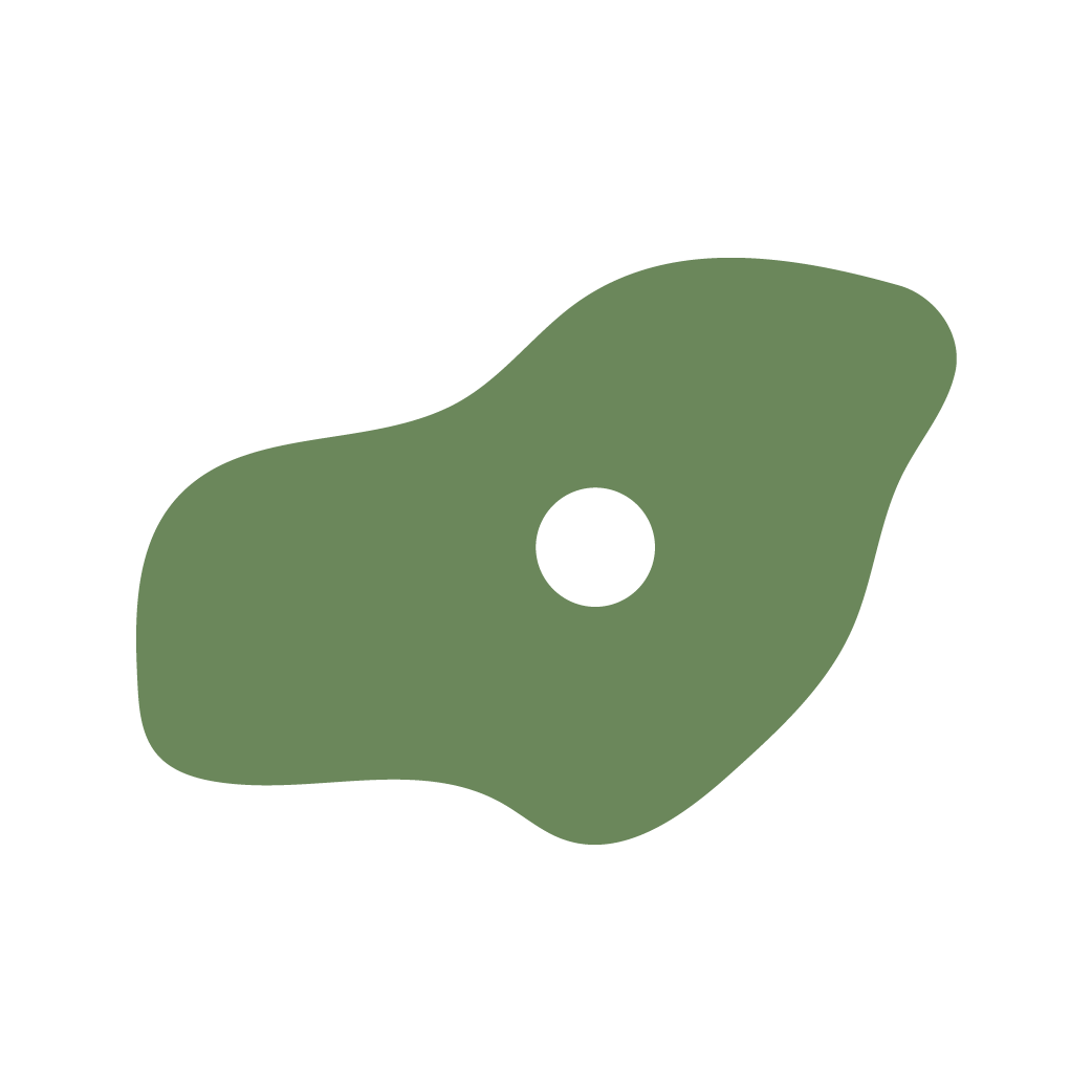 Rock climbing wall hold icon