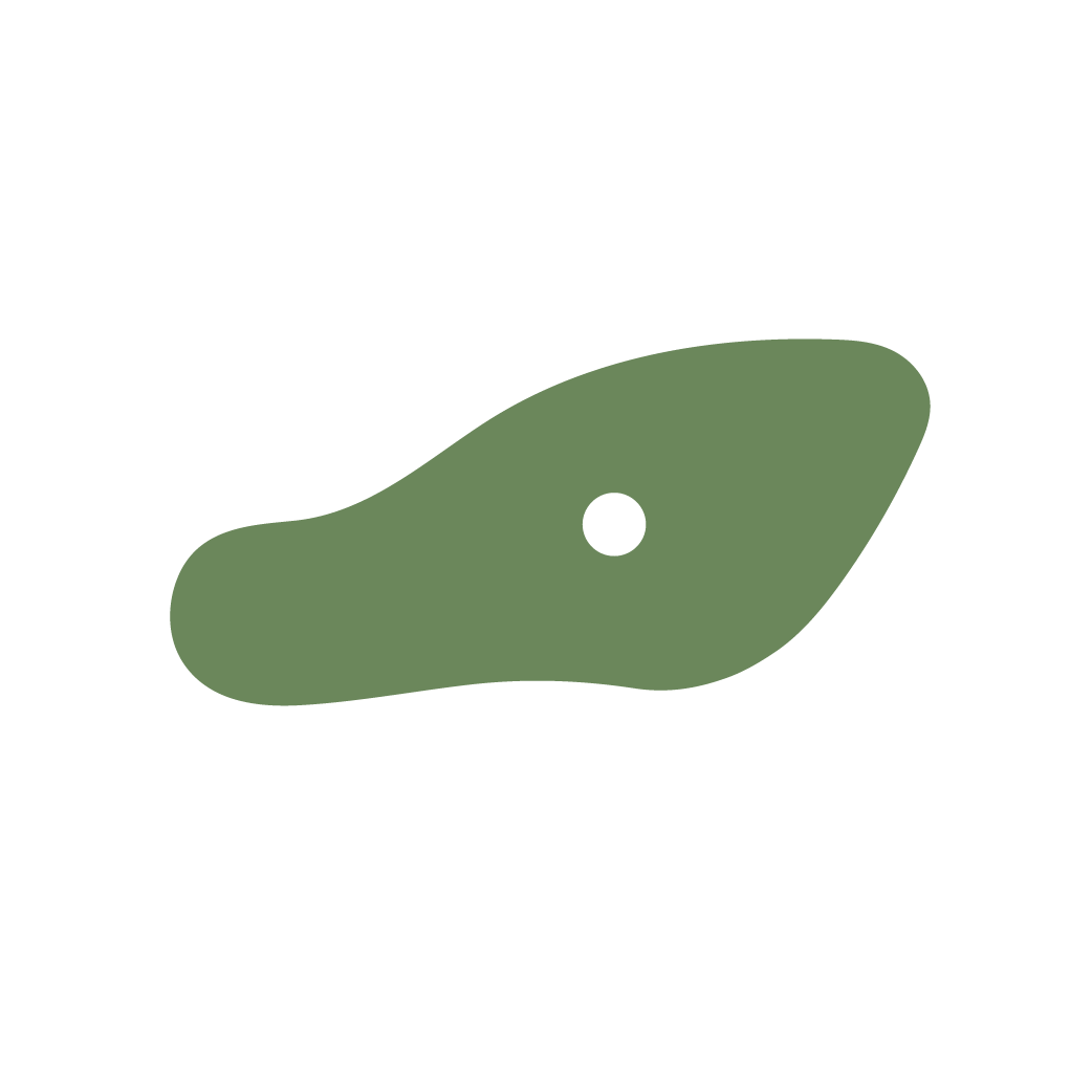 Rock climbing wall hold icon