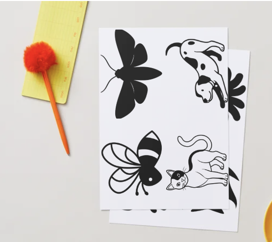 Printable Black and White Contrast Cards