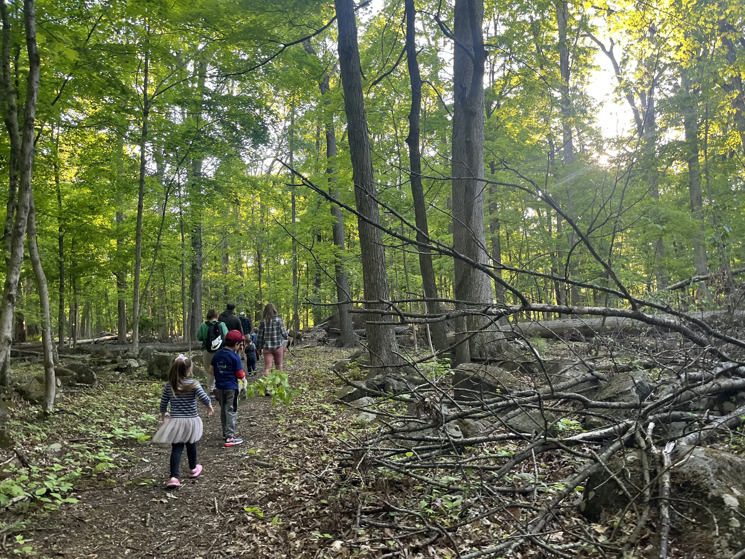 Family Hike