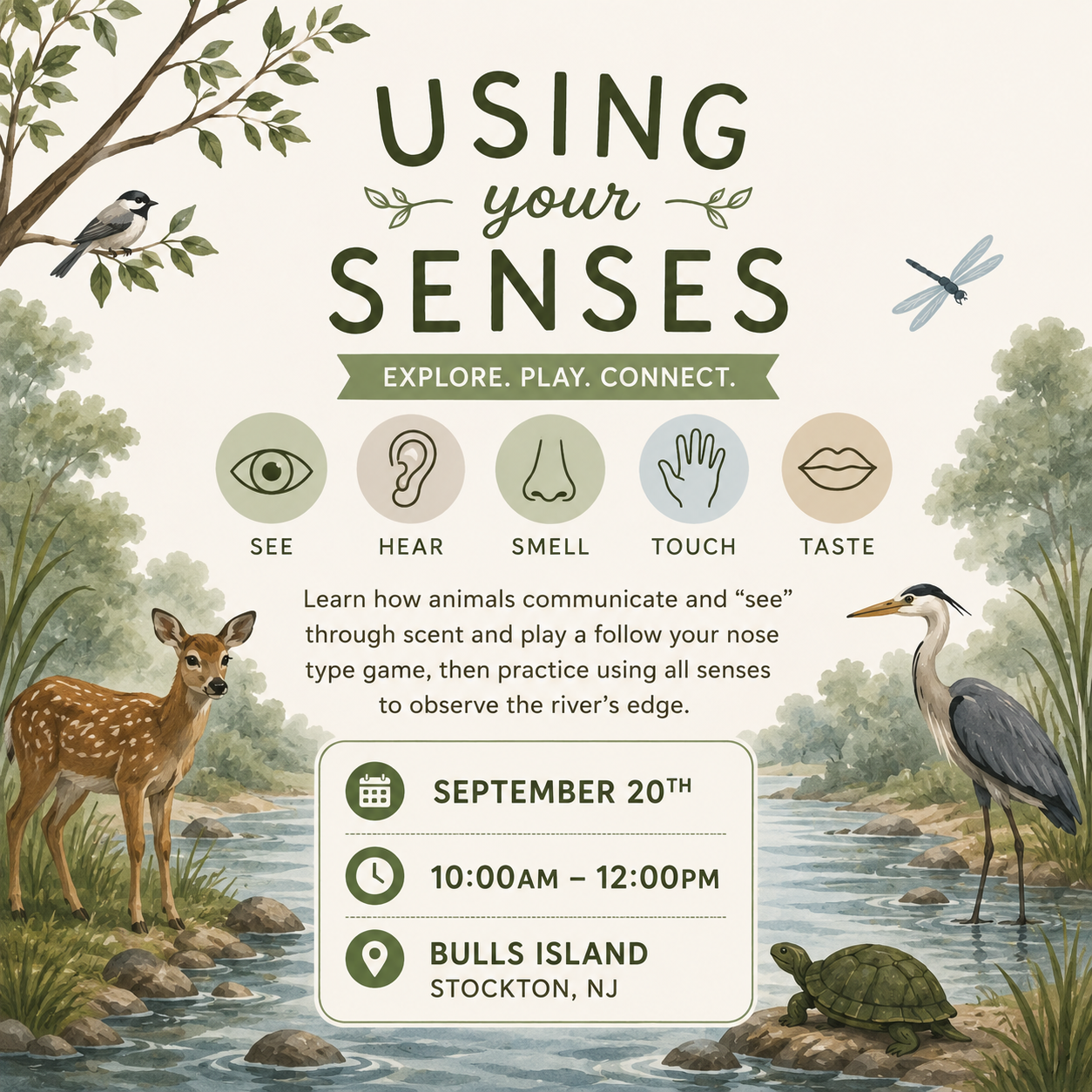"Using Your Senses" Nature Class