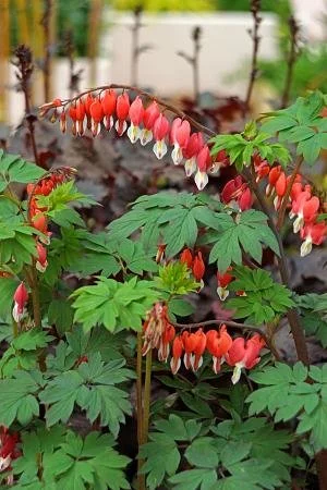 Opening Day @ Our Greenhouse
