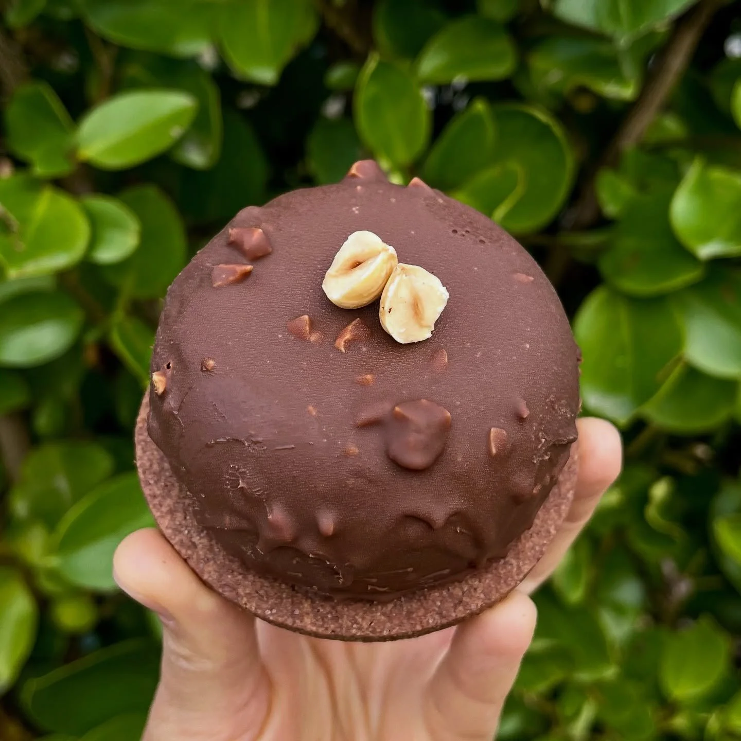 🍫&mdash;&mdash; Chocolate ~ Hazelnuts &mdash;&mdash; 🐿️✨

With winter setting in, there&rsquo;s nothing better than a chocolate / hazelnut dessert to comfort you. 

Made with a cocoa biscuit, a hazelnut dacquoise, a milk chocolate mousse, and a dar