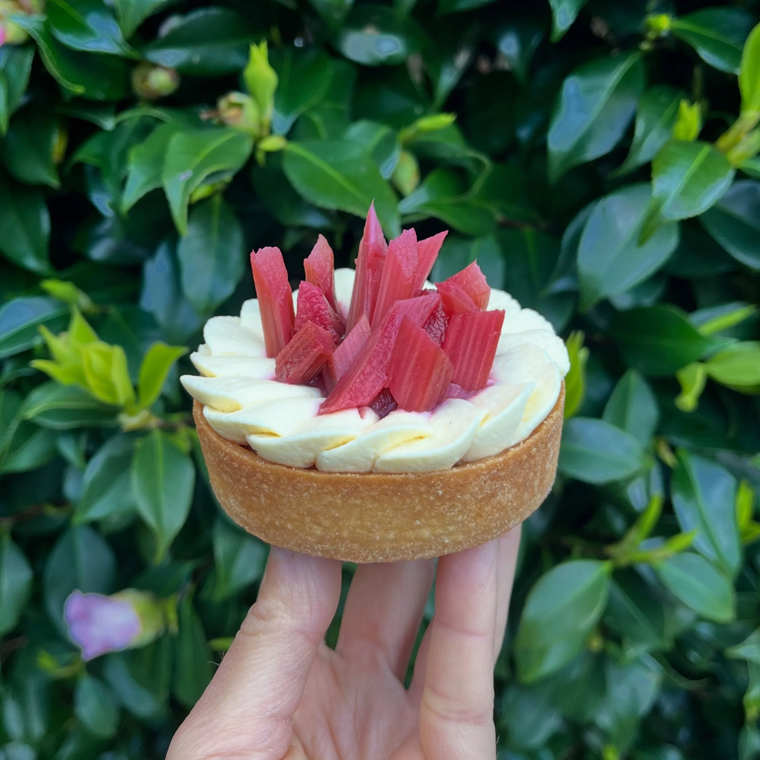 New seasonal tart !! Rhubarb &amp; Almond Frangipane 🌺

Every layer made 100% from scratch :
-Buttery shortcrust
-Almond frangipane
-Rhubarb compote
-Poached rhubarb in a hibiscus syrup
-Whipped vanilla ganache

Fruity, gently tangy, and utterly irr