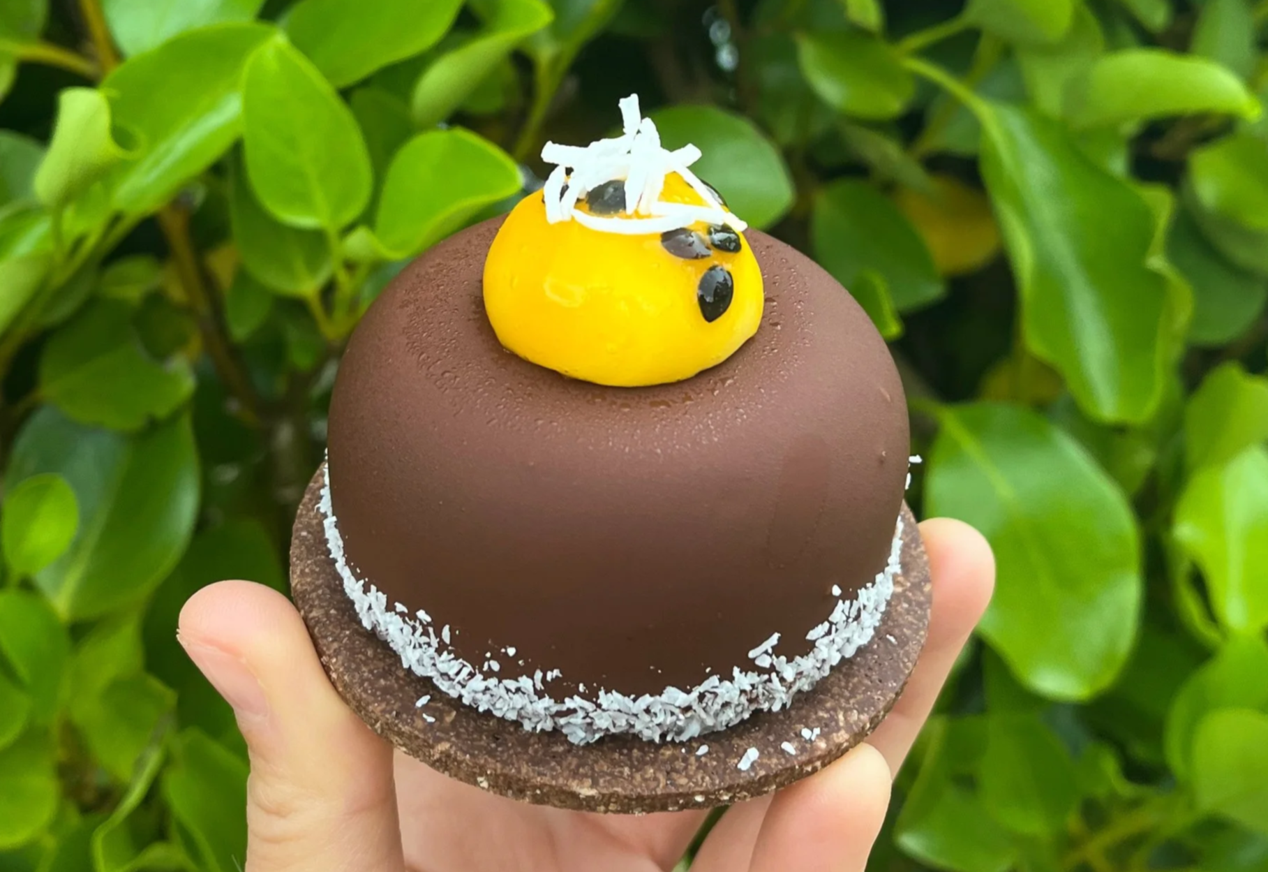 Gluten free dessert hold in a hand. Flavours are chocolate, coconut and passion fruit.