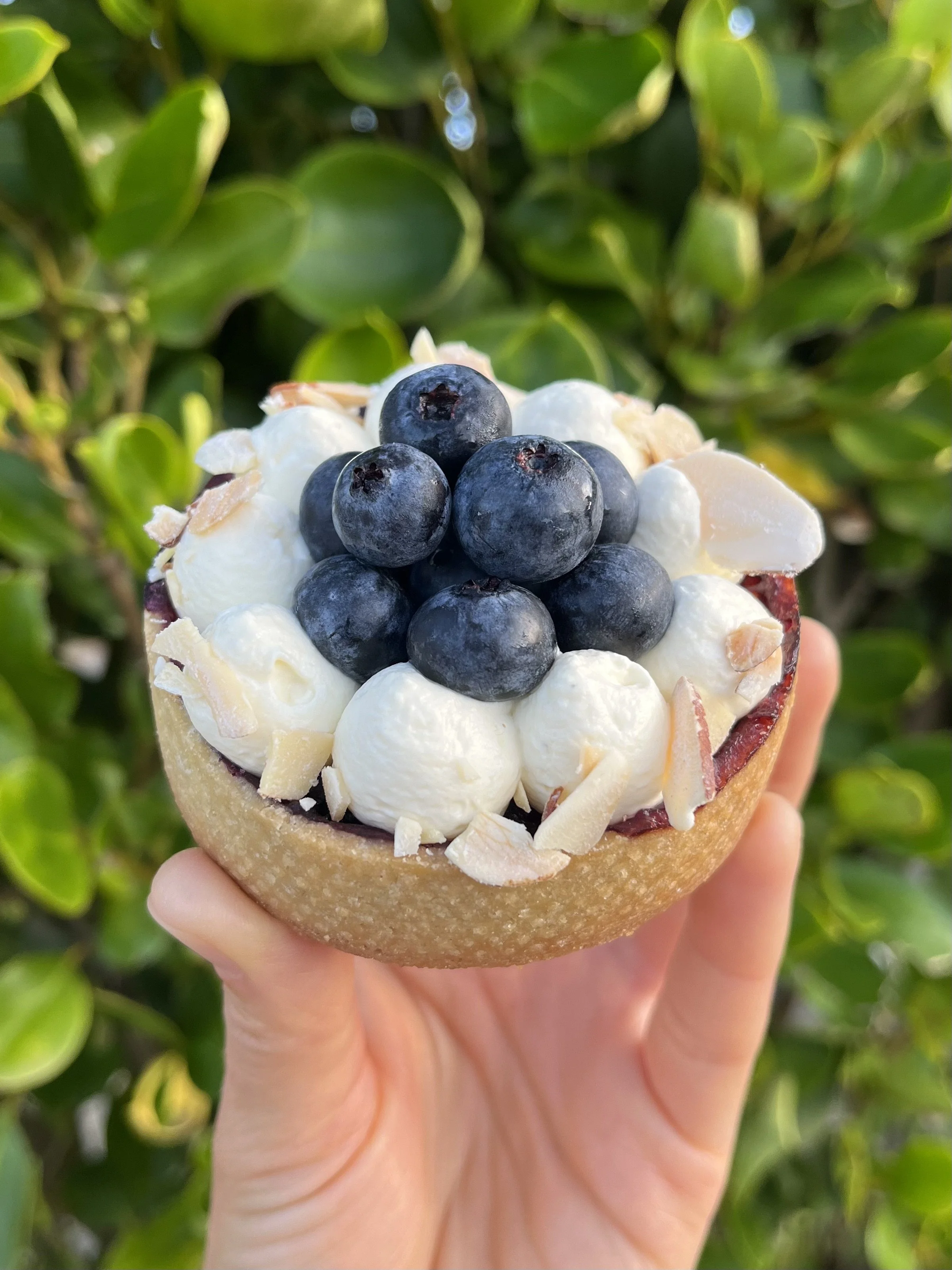 Close-up of a hand holding blueberries Tart