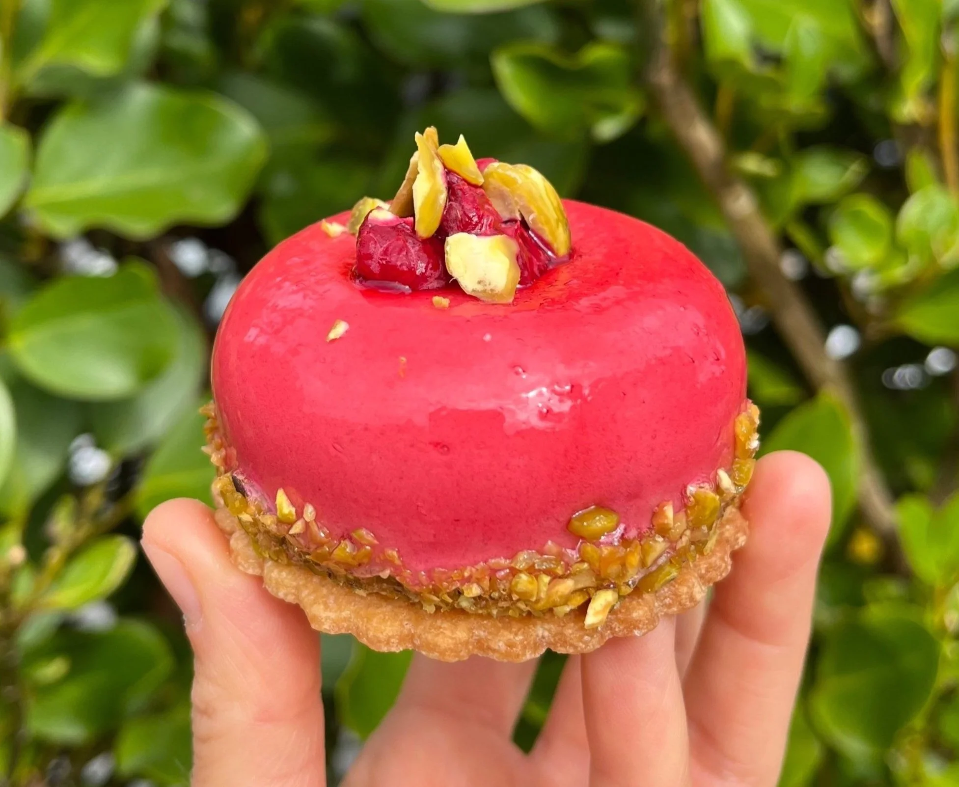 Close-up of a hand holding Mother's day special dessert with raspberry and pistachio