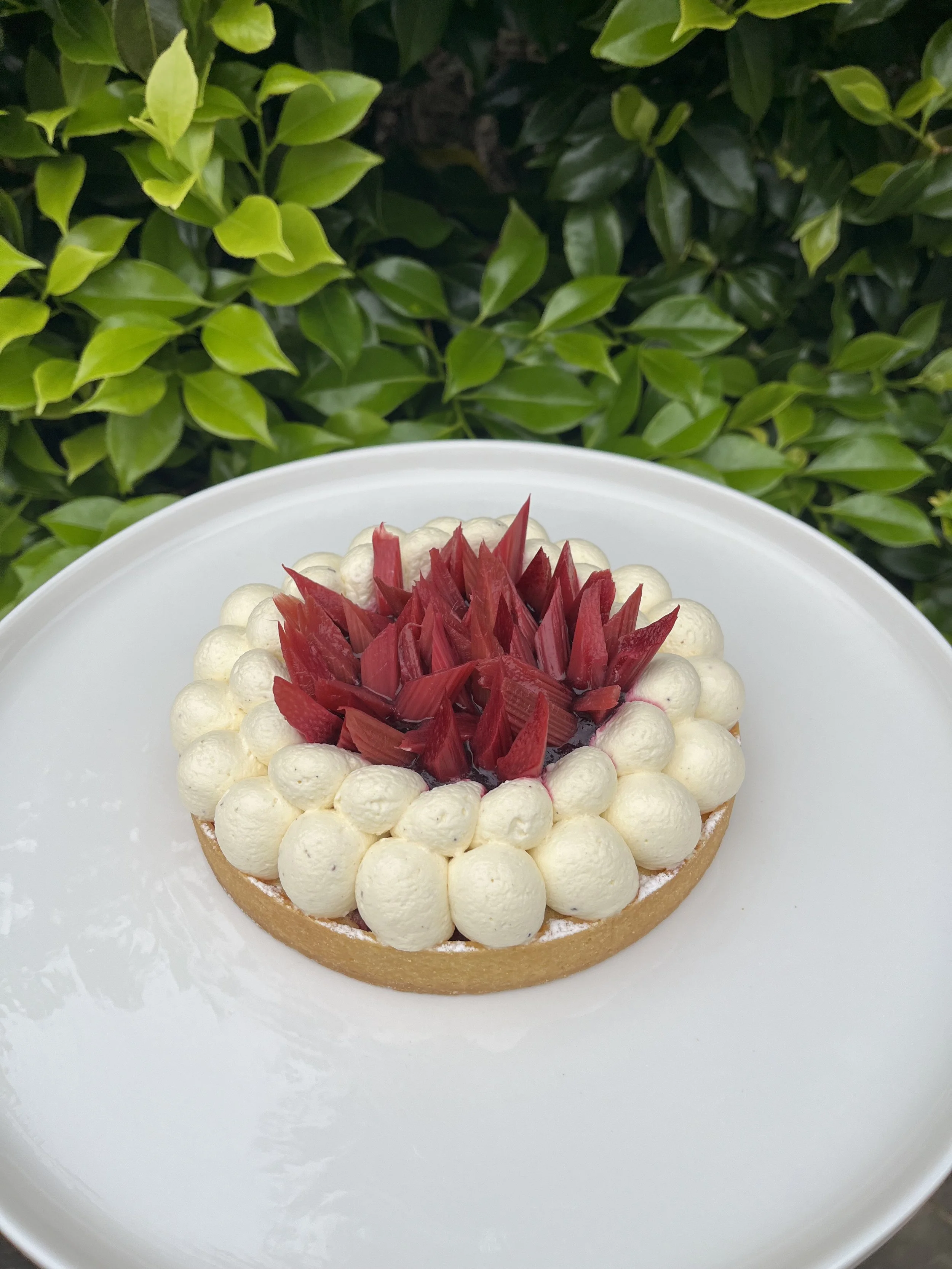picture of a rhubarbs and frangipane tart for 6 people on a white plate