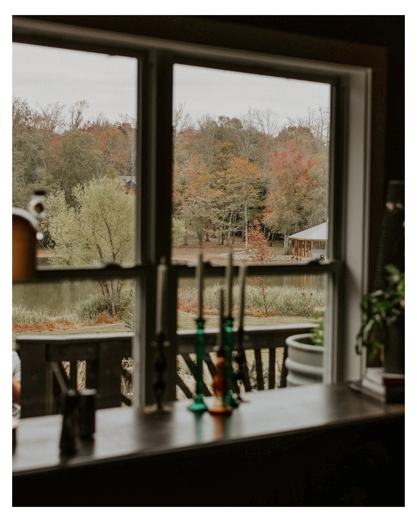 Last day in Tennessee and will definitely be back 🍁