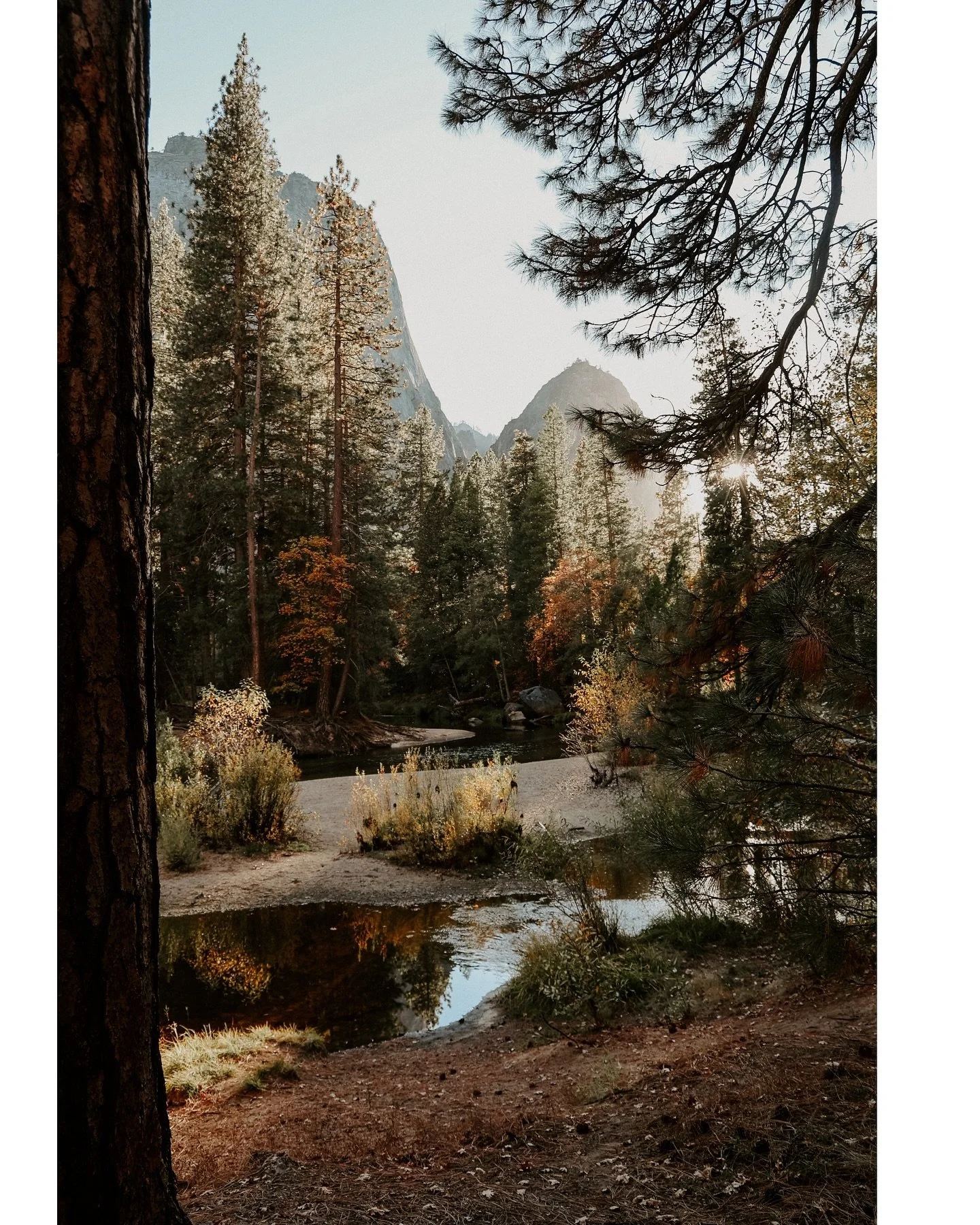 Yosemite in the fall is stunning! Absolutely love this place. 

#yosemitenattionalpark