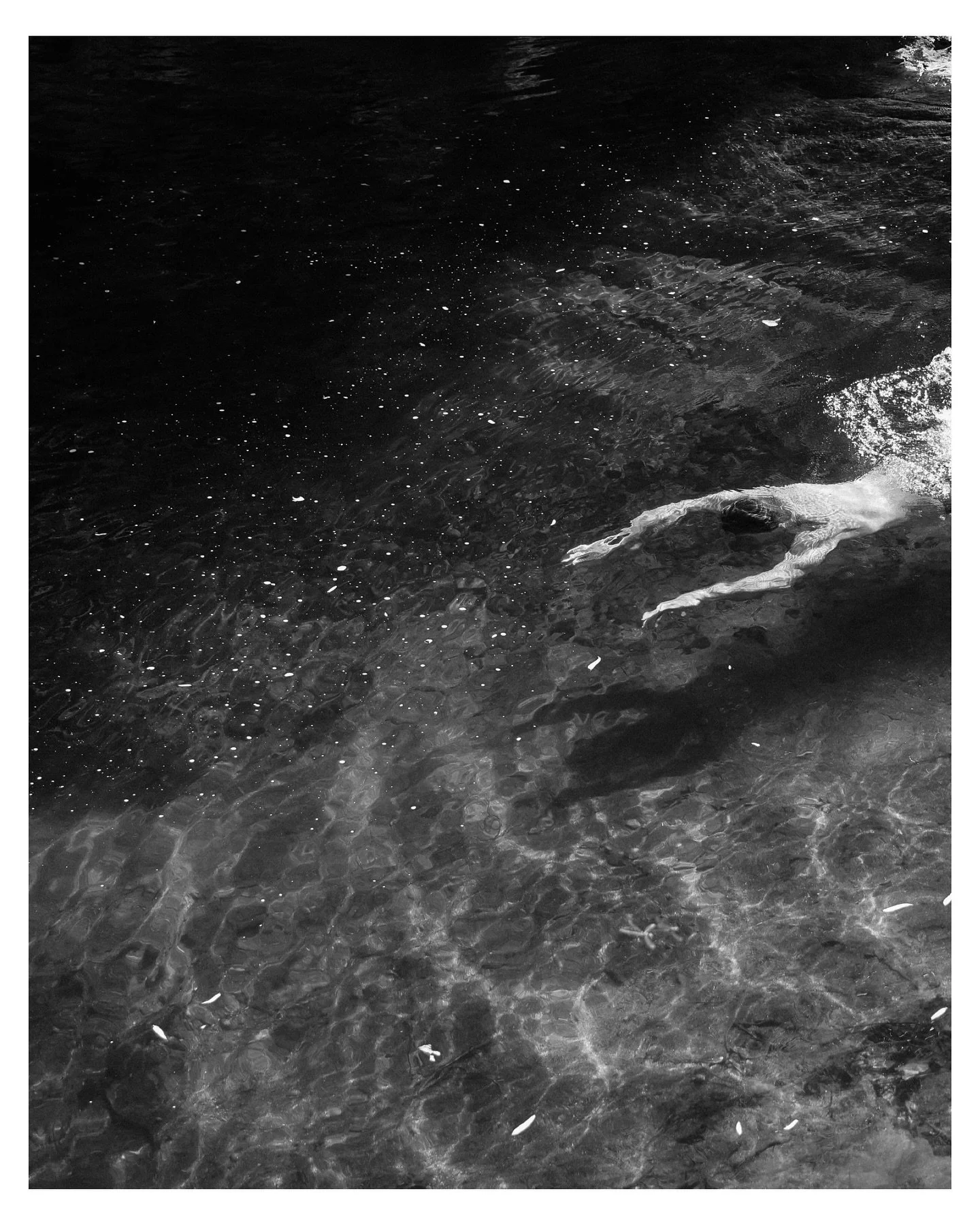 Our last day in the Sequoia National Park. 
We found our own perfect swimming hole on the Kaweah River. 🍁

#visitcalifornia #sequoianationalpark🌲