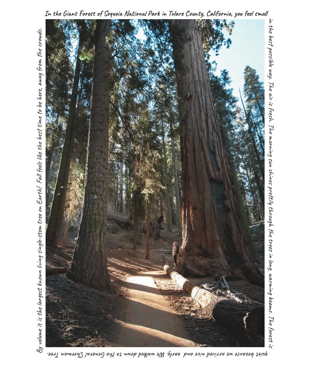 Working on my latest photobook, this will the 6th book I&rsquo;ve curated! 

This is an early page out of the book, which is from our recent travels in the USA. I took ALOT of pictures and really enjoy going back through them all.  Plus It&rsquo;s pe