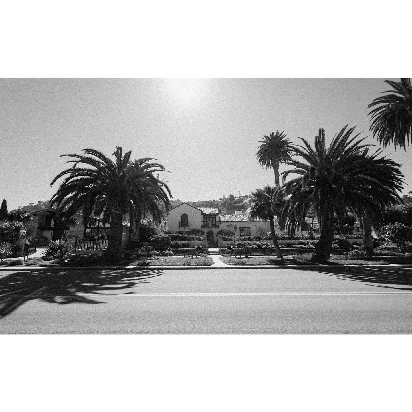 Palos Verdes ✌🏽