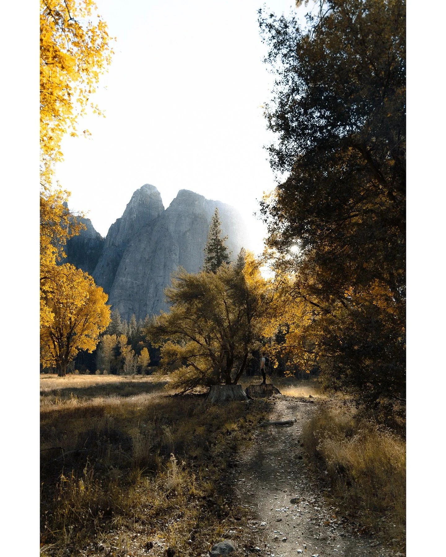 On holidays and can finally go through all our honeymoon photographs 🥹⛰️🍂