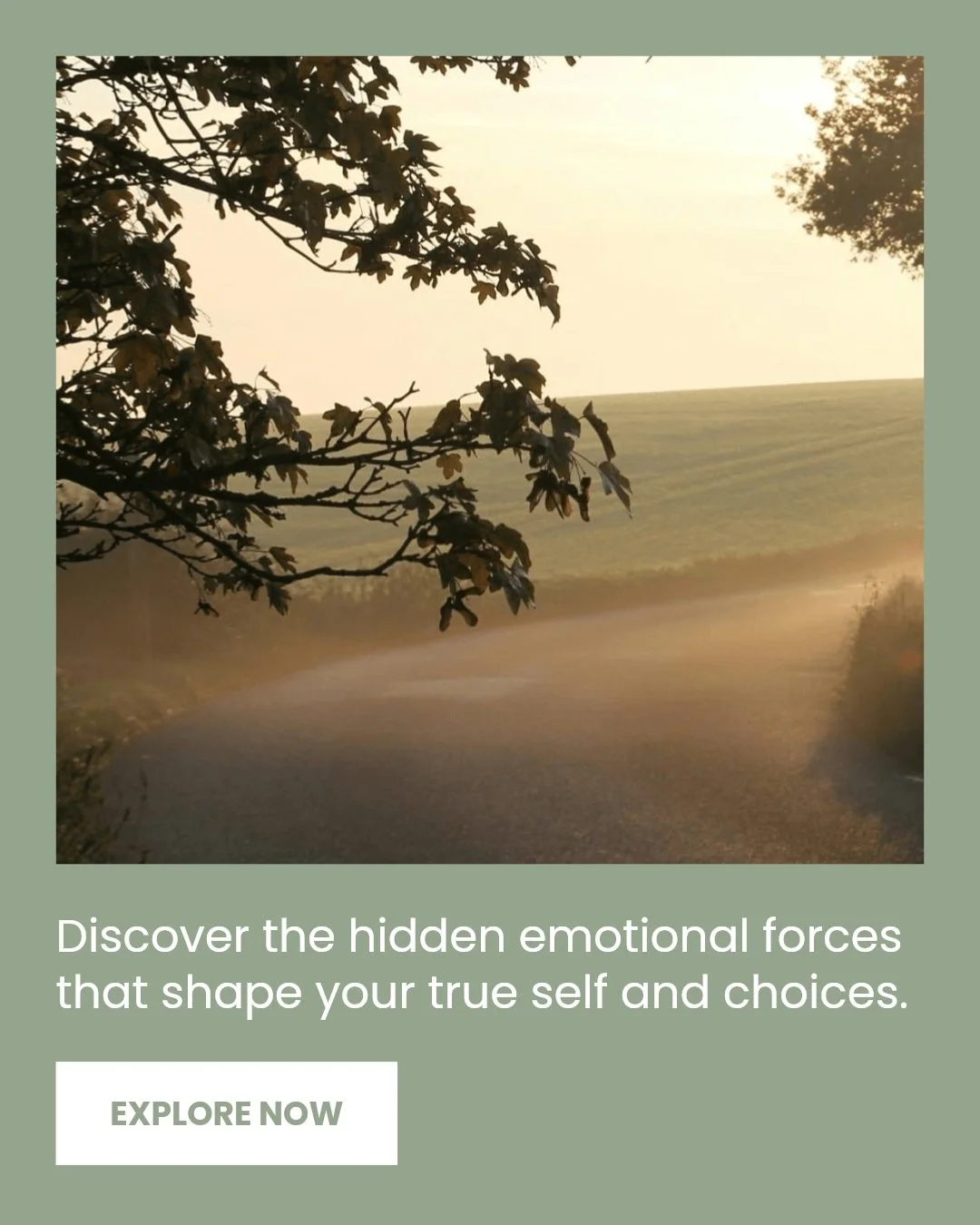 Have you ever wondered what truly drives the deeper motivations behind your Enneagram type?

Many people know their Enneagram number but miss the hidden emotional forces shaping their behaviours and decisions every day. These motivations often lie be