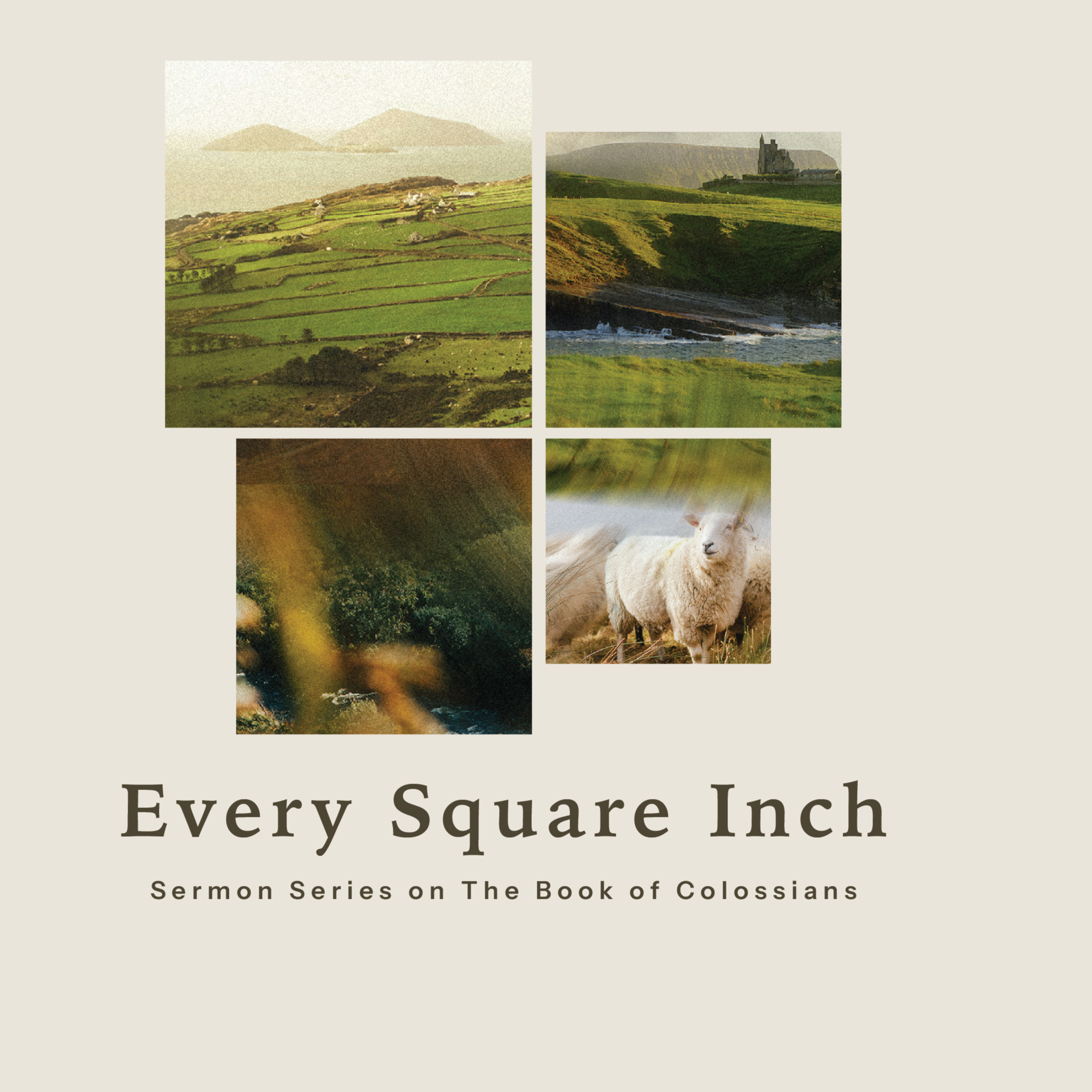 Good News for Everything