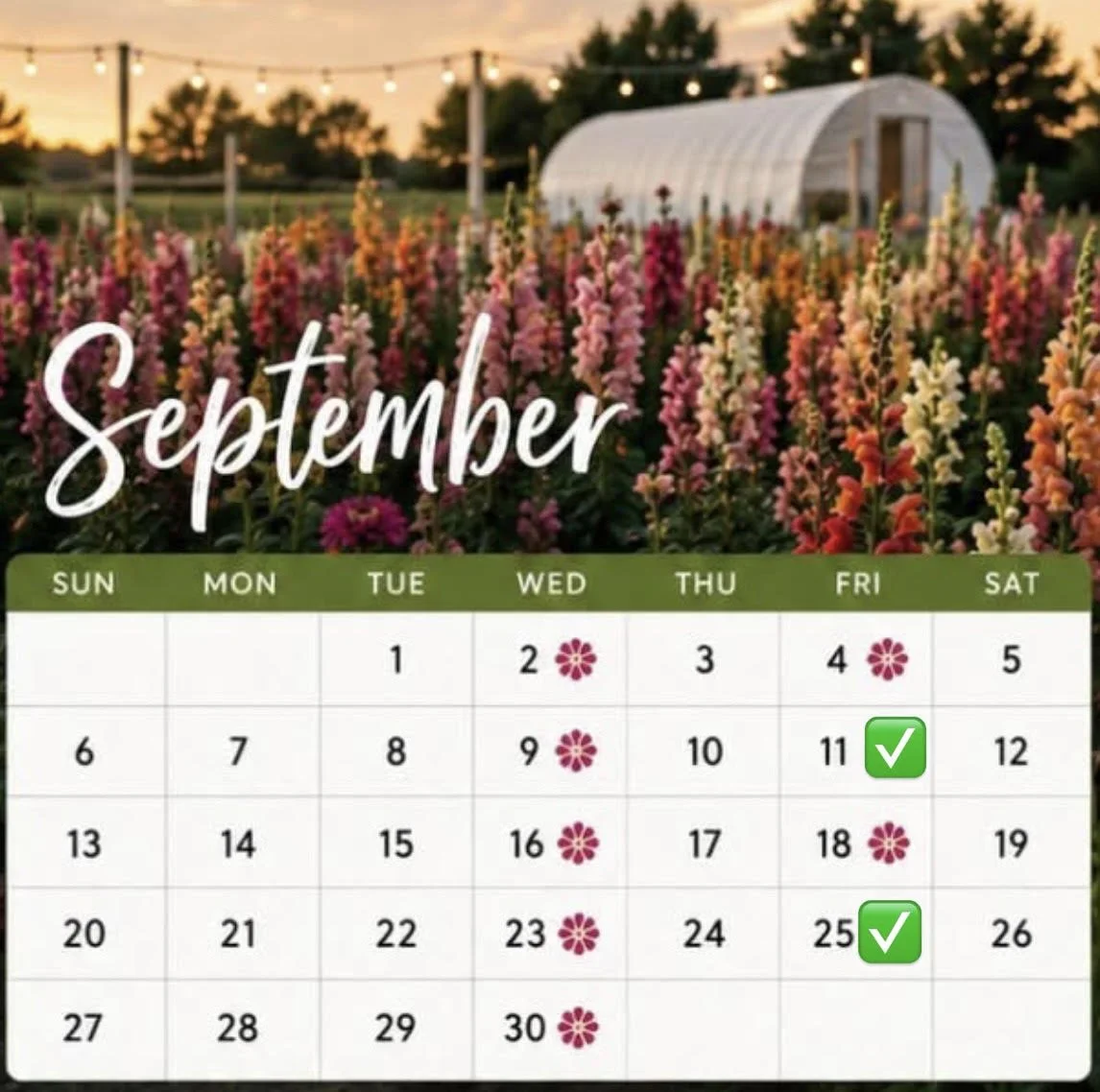Bella Blooms Flower Farm U-Pick