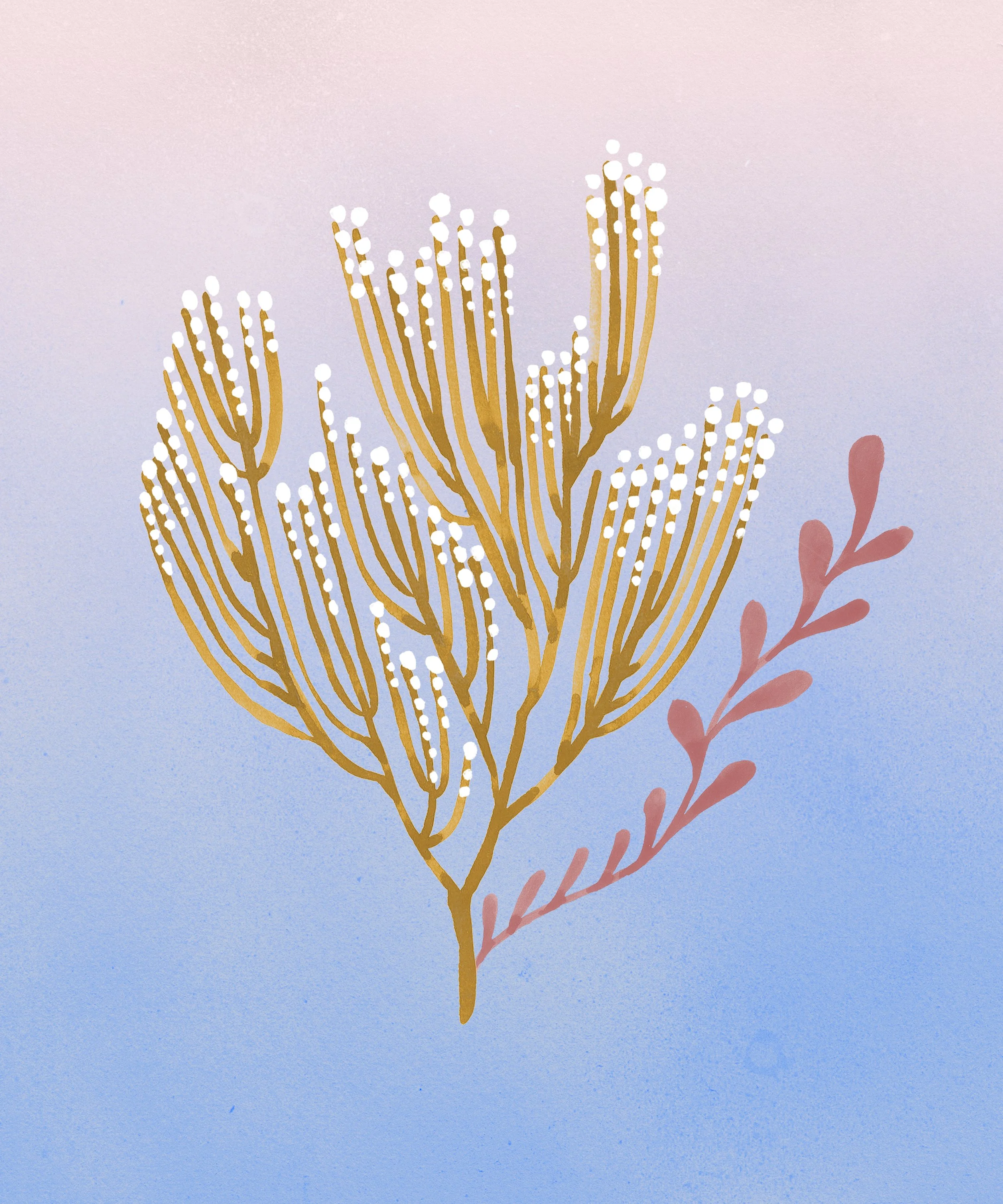seaweed-icons-v3.jpg