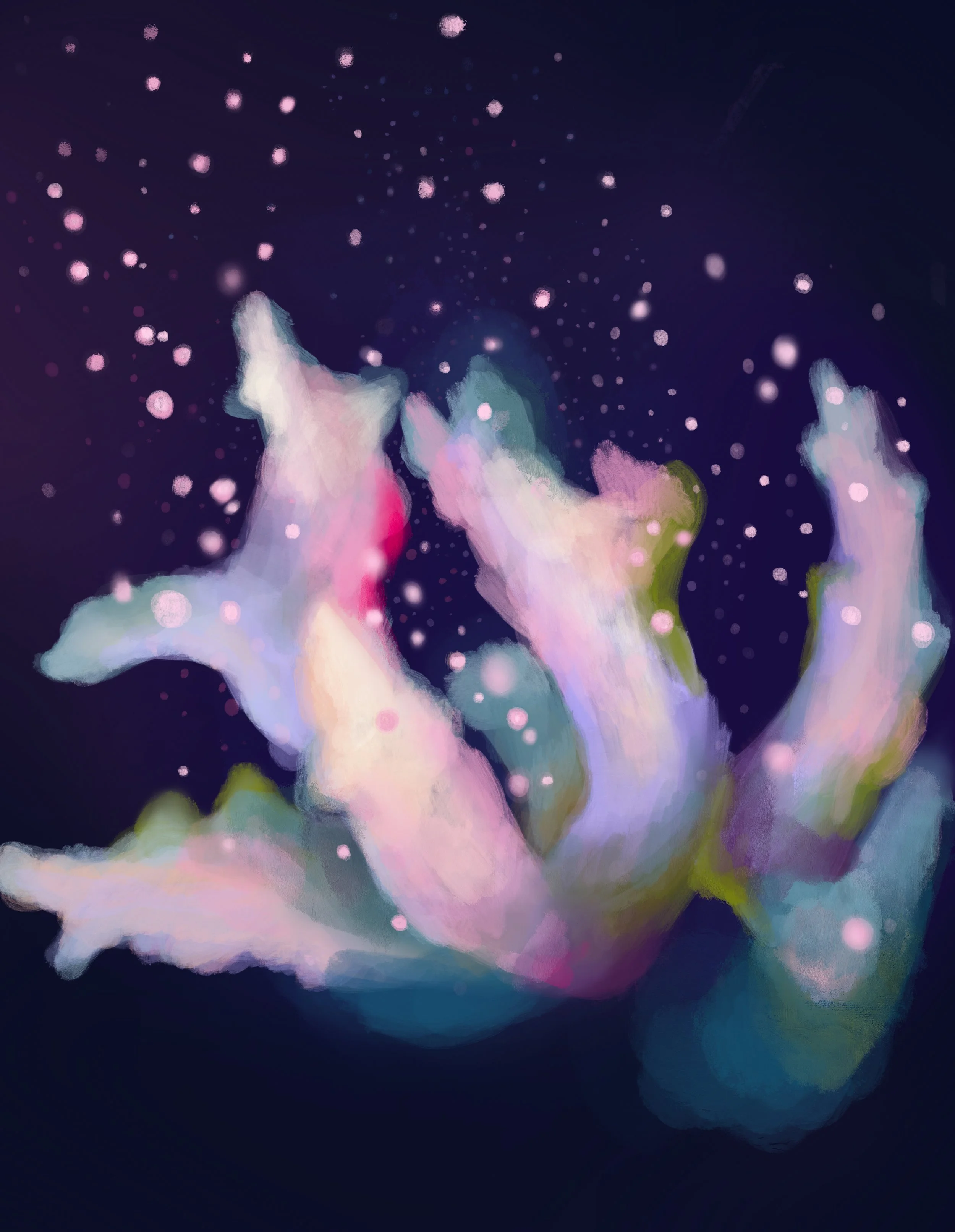 Nocturnal-Process-001.jpg