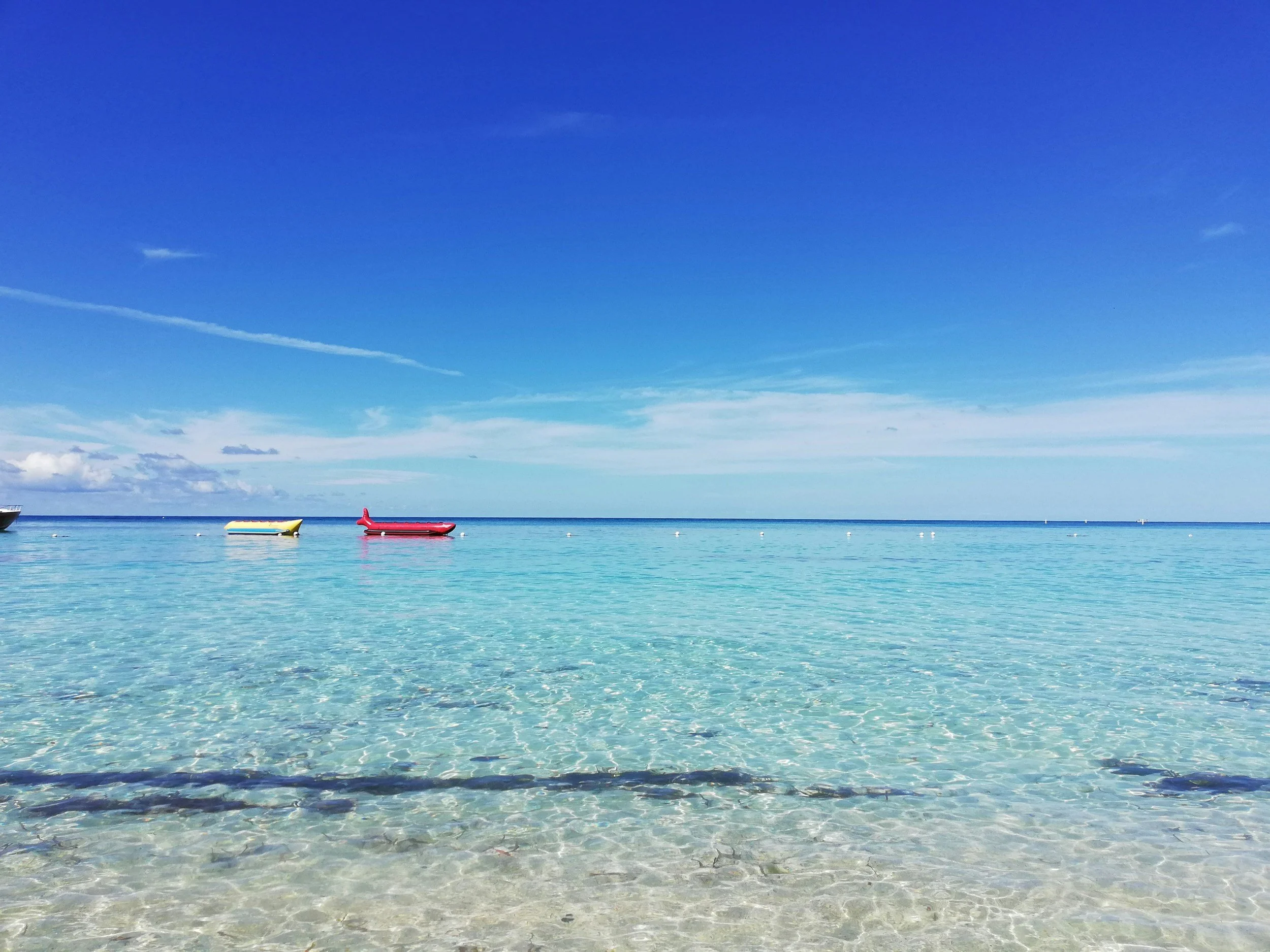 unsplash-image-8MuODV4ZPJc.jpg