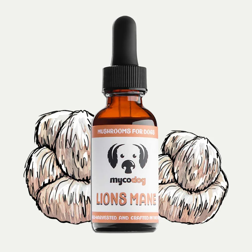 MycoDog-Lions-Mane-Tincture-Bottle-Front.webp