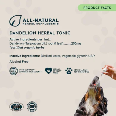 Dandelion_Tonic_7_8b3084cb-76e4-4f31-b0c5-4a8e3c25912b.webp