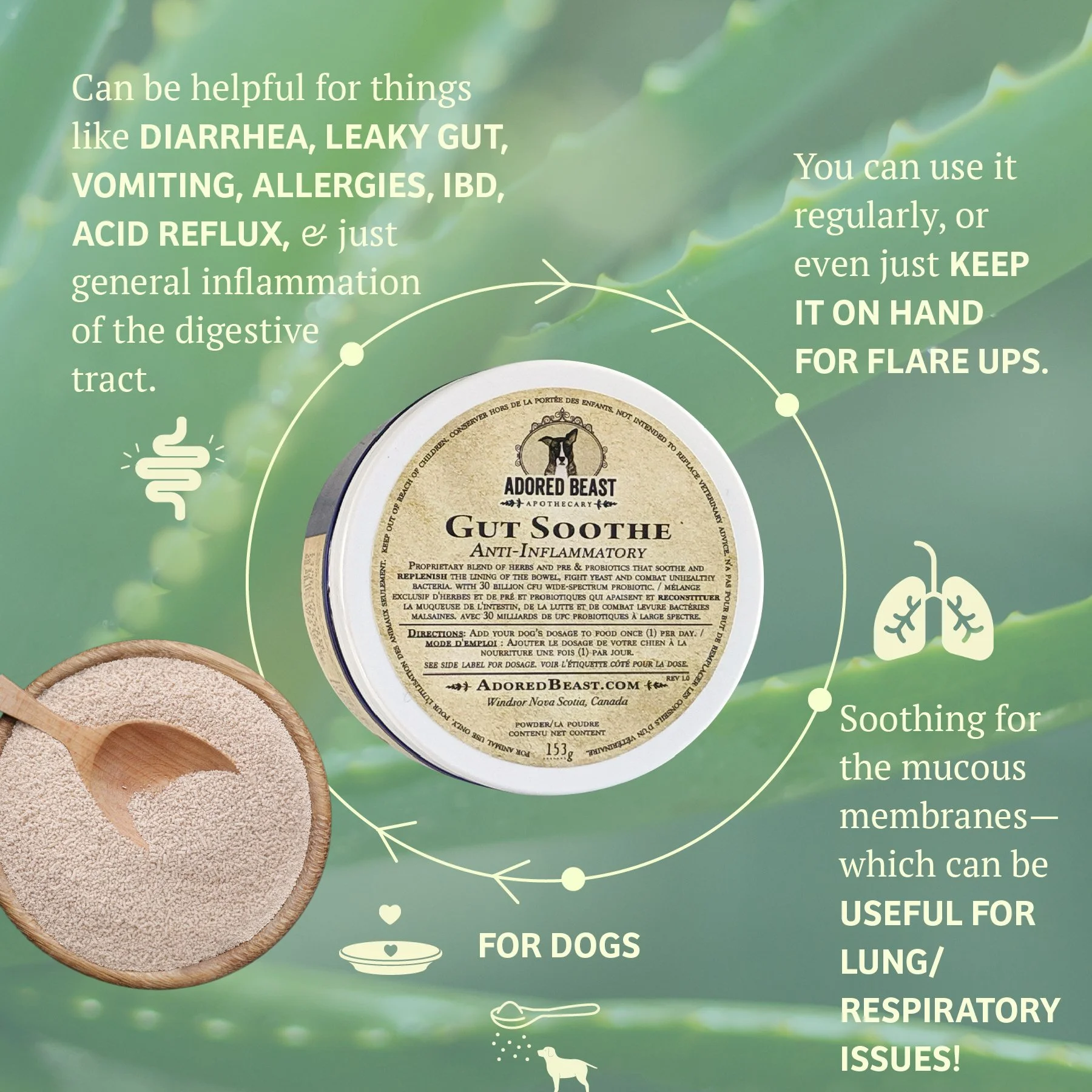 ABA Canine Gut Soothe Informational 2 POST.jpg