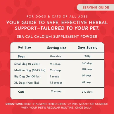 Sea-Cal_Powder_5_3c83fc5c-9327-497e-88d1-1fc8750db4b6.webp