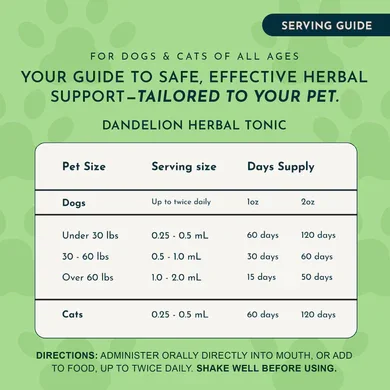 Dandelion_Tonic_5_e2e57991-50fb-49aa-9f87-6995a7756449.webp