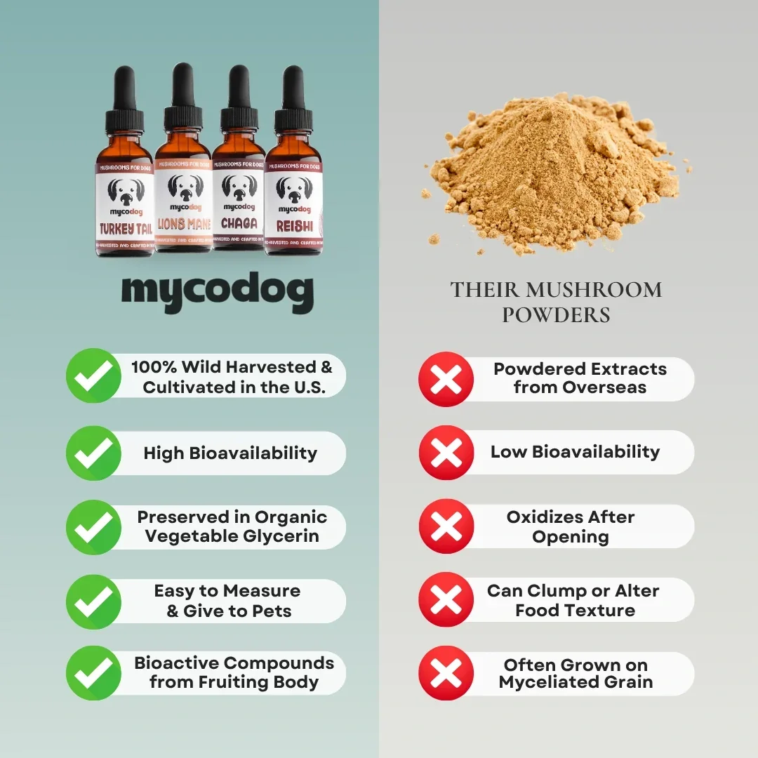 Us_VS_Them_Single_Tinctures.webp
