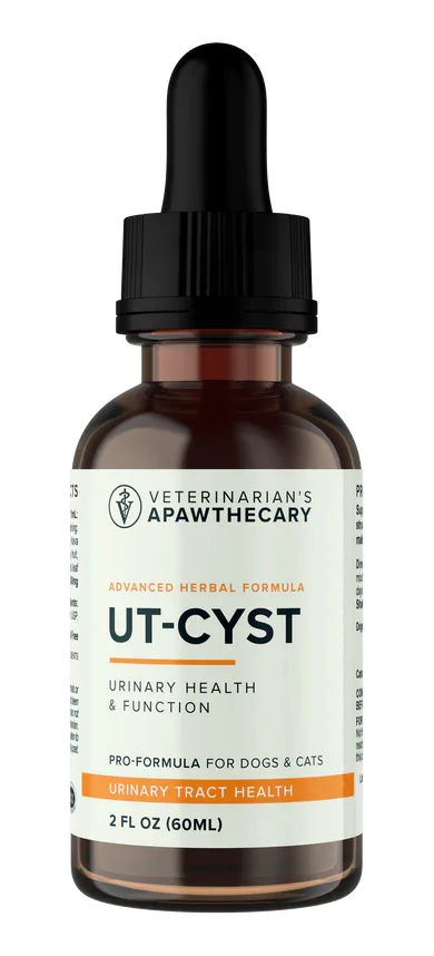 AE UT-CYST | Bladder Support